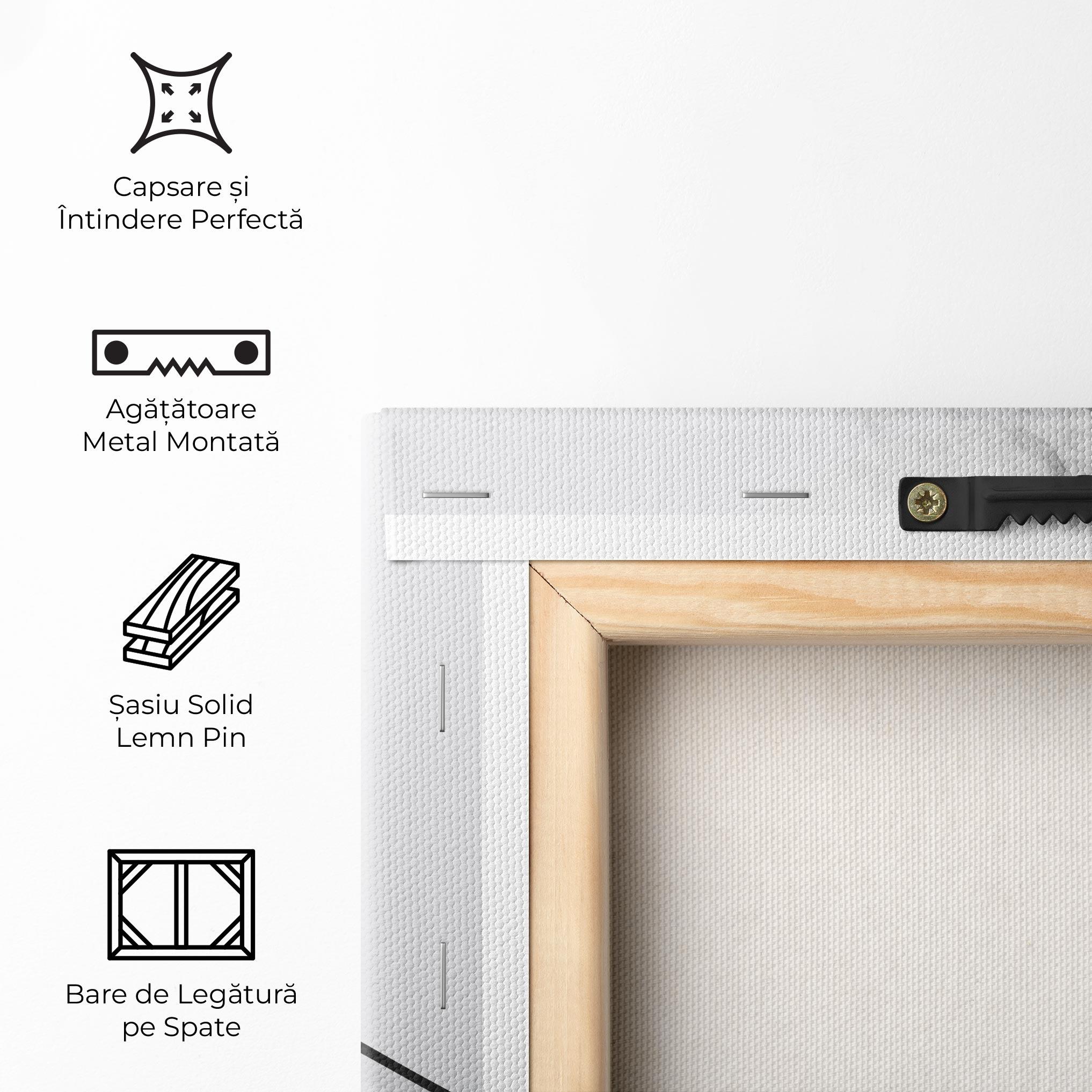 Tablou Canvas Hockey Smoke mockup 5