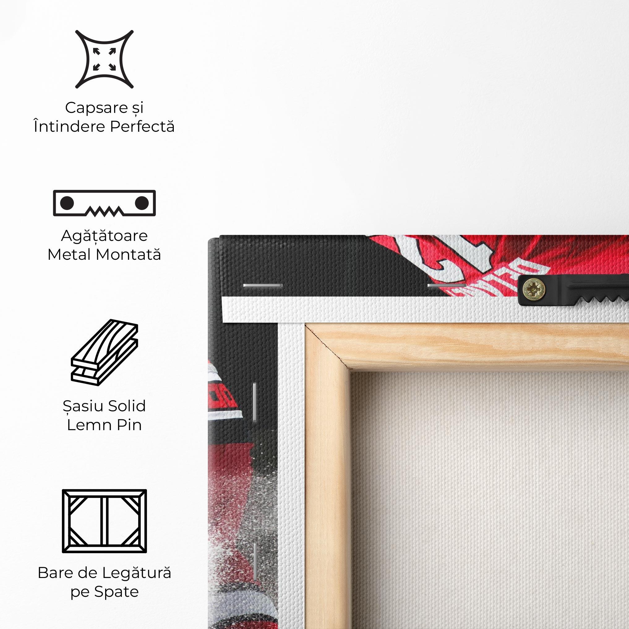 Tablou Canvas Red Hokey Player mockup 5