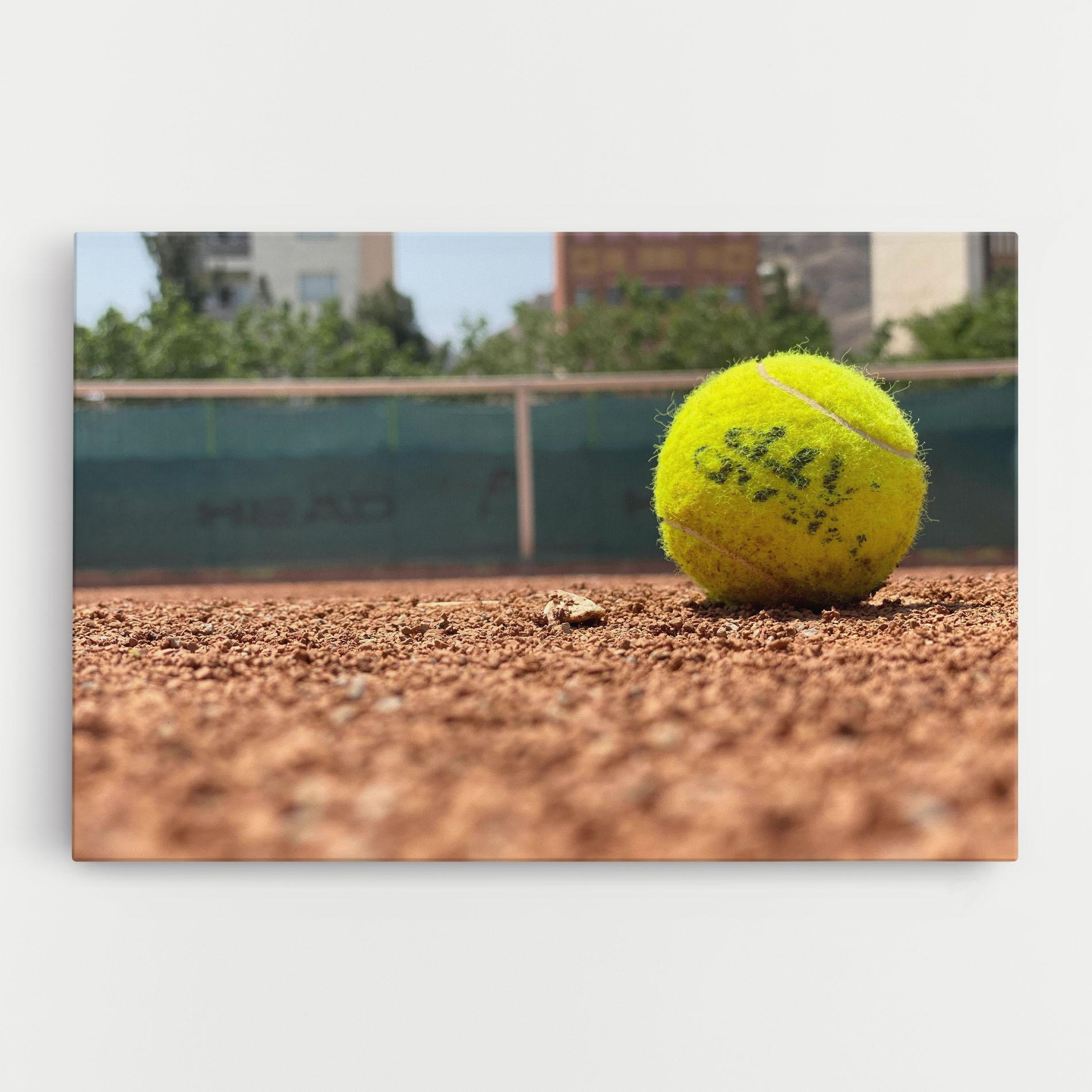 Tablou Canvas Lost Tennis Ball mockup 0