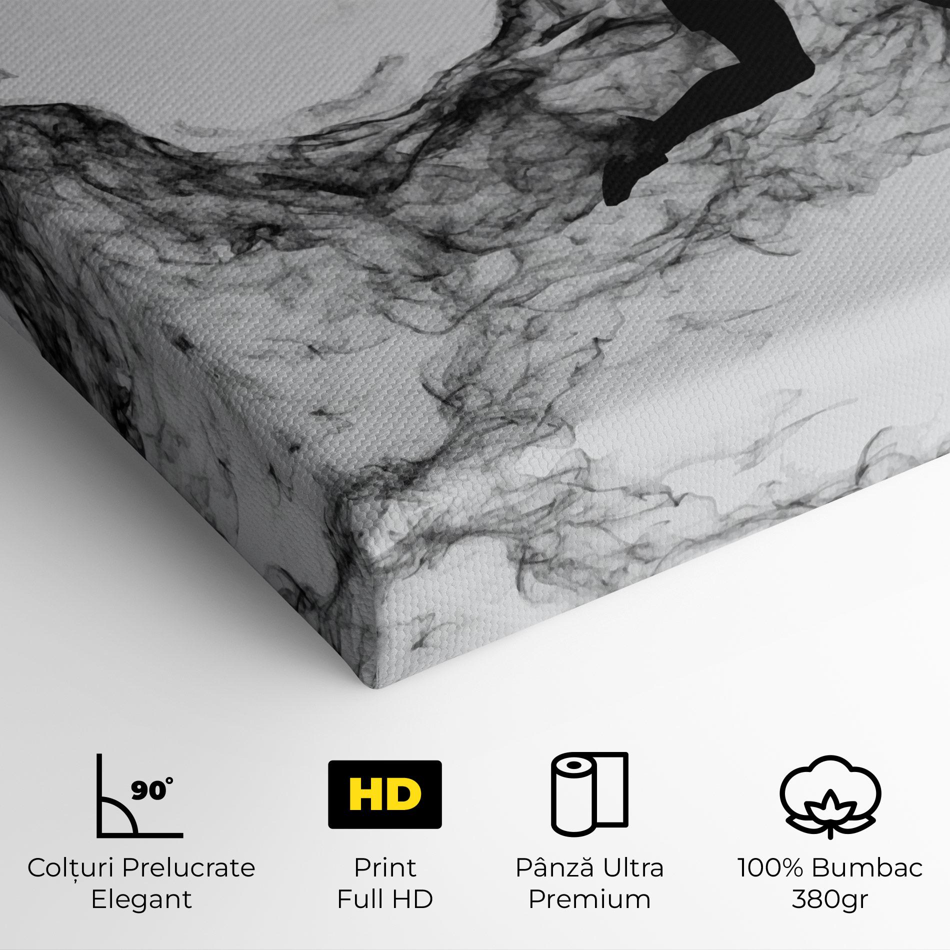 Tablou Canvas Black Smoke Tennis mockup 4