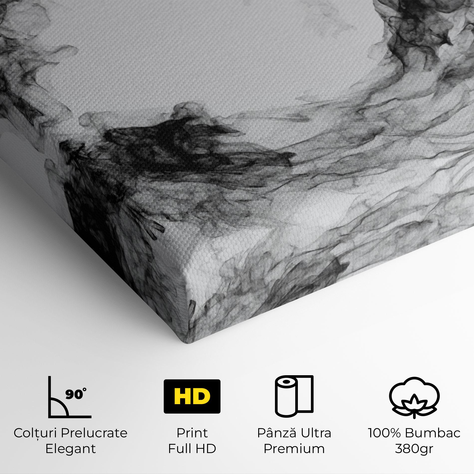 Tablou Canvas Black Tennis Smoke mockup 4