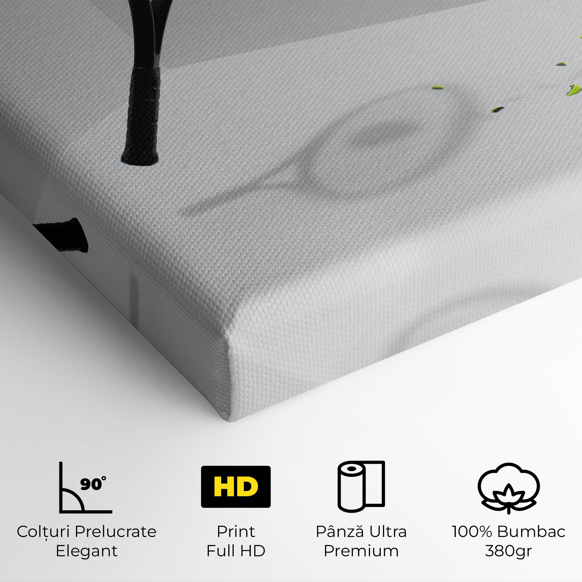 Tablou Canvas Broken Tennis Ball mockup 4