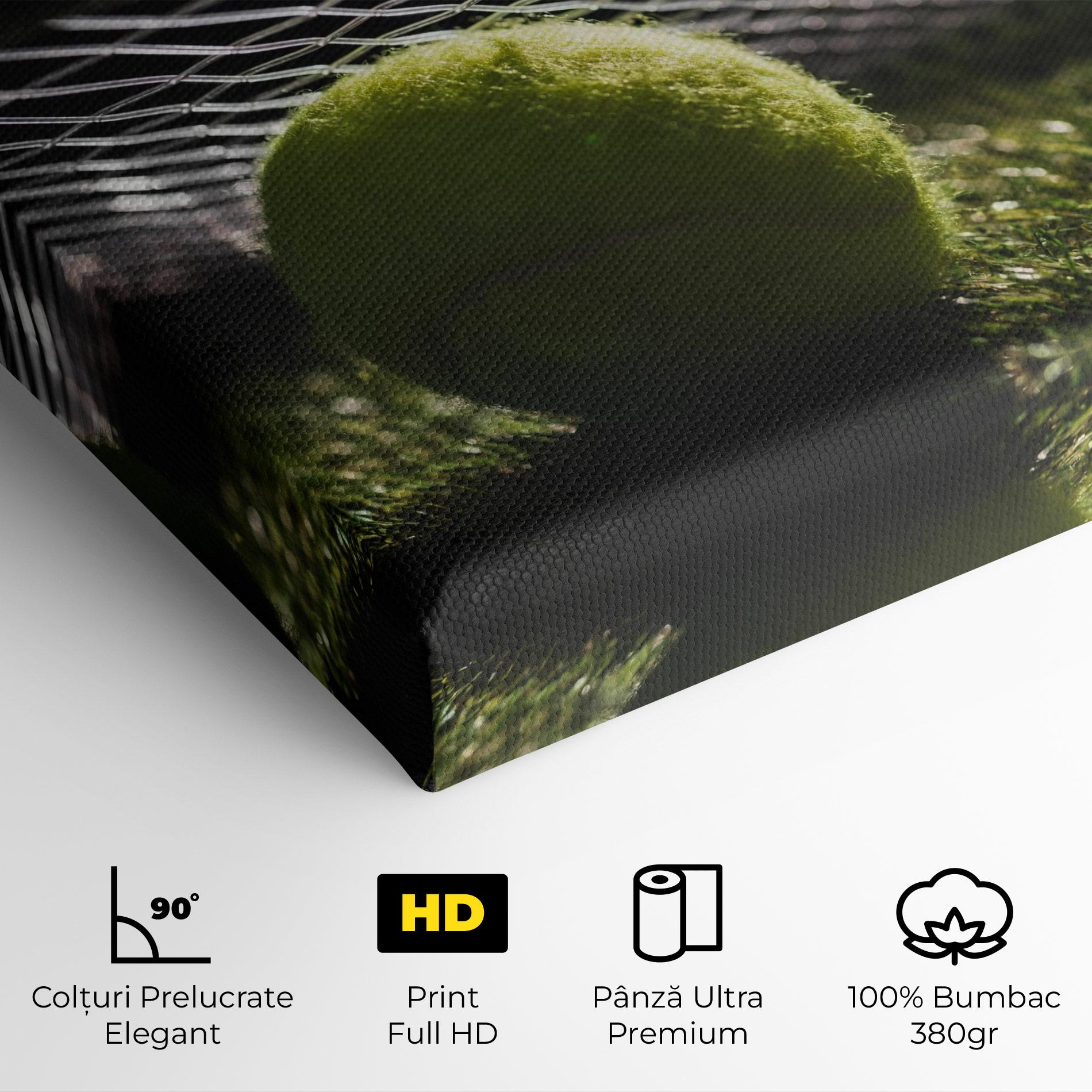 Tablou Canvas Close Up Tennis Ball mockup 4