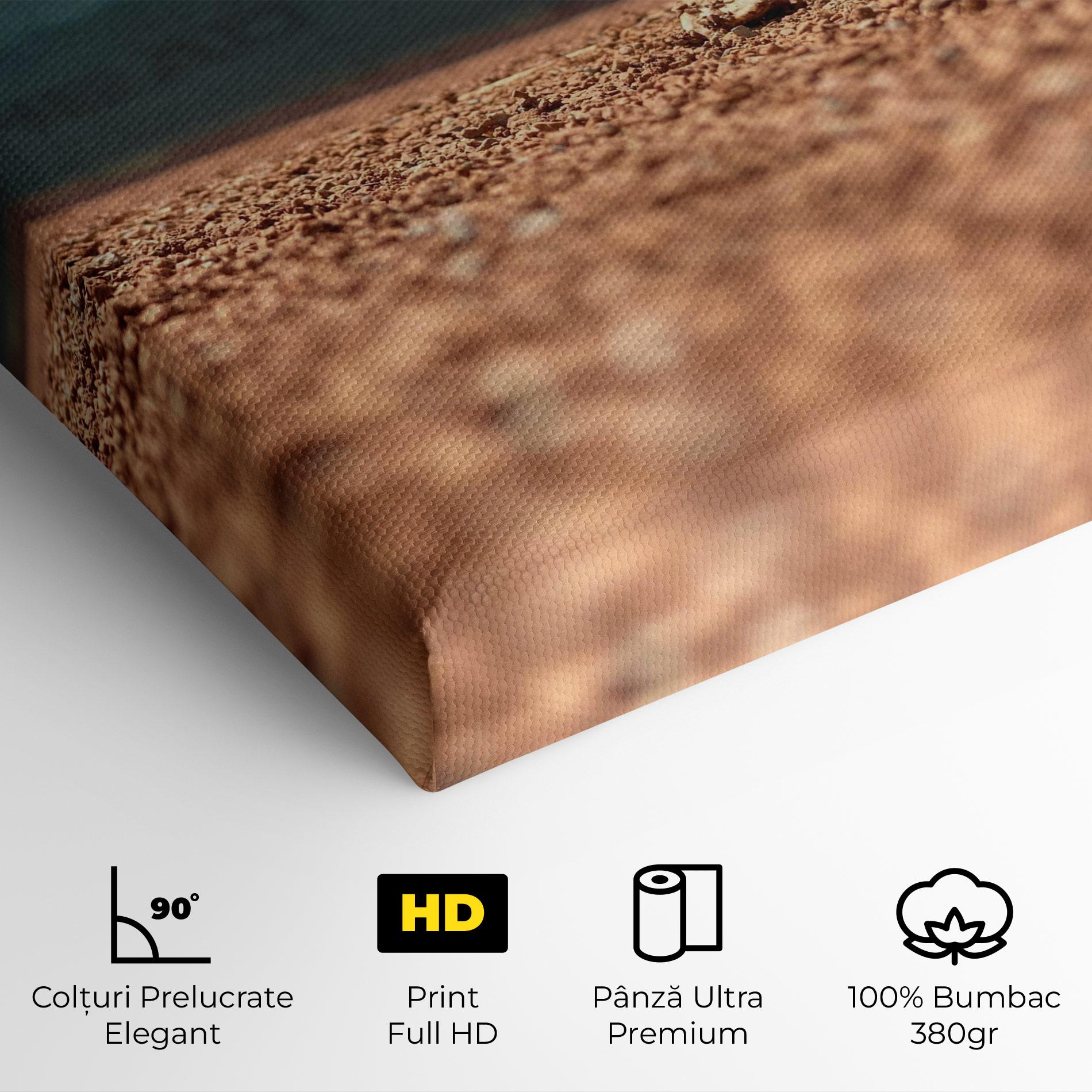 Tablou Canvas Lost Tennis Ball mockup 4