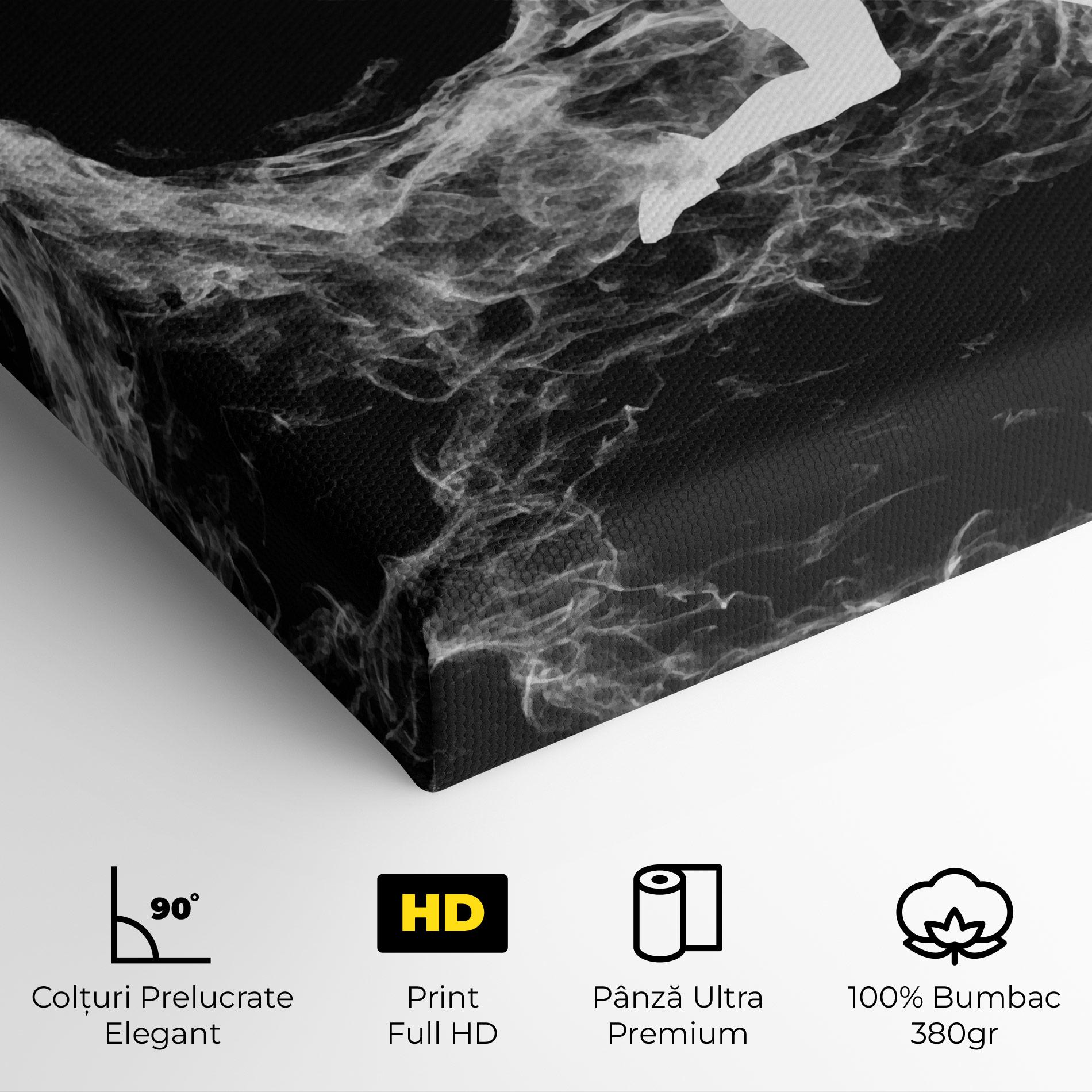 Tablou Canvas Tennis White Smoke mockup 4