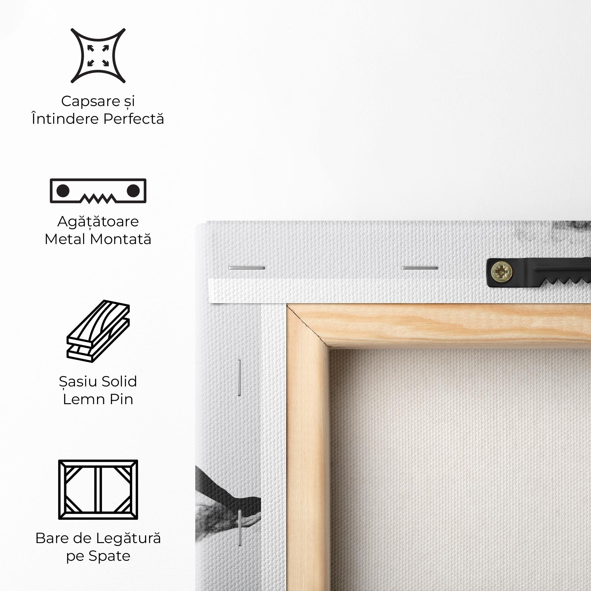 Tablou Canvas Black Smoke Tennis mockup 5