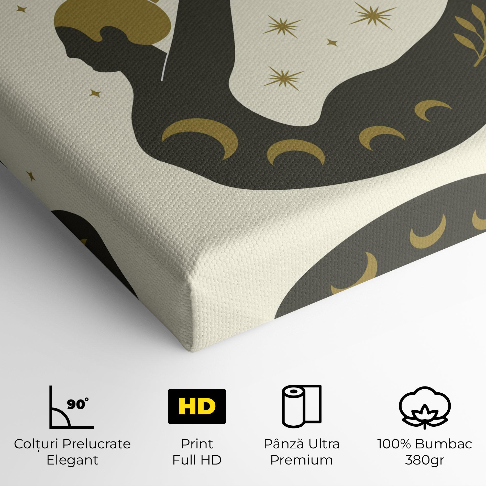 Tablou Canvas Dhanurasana mockup 4