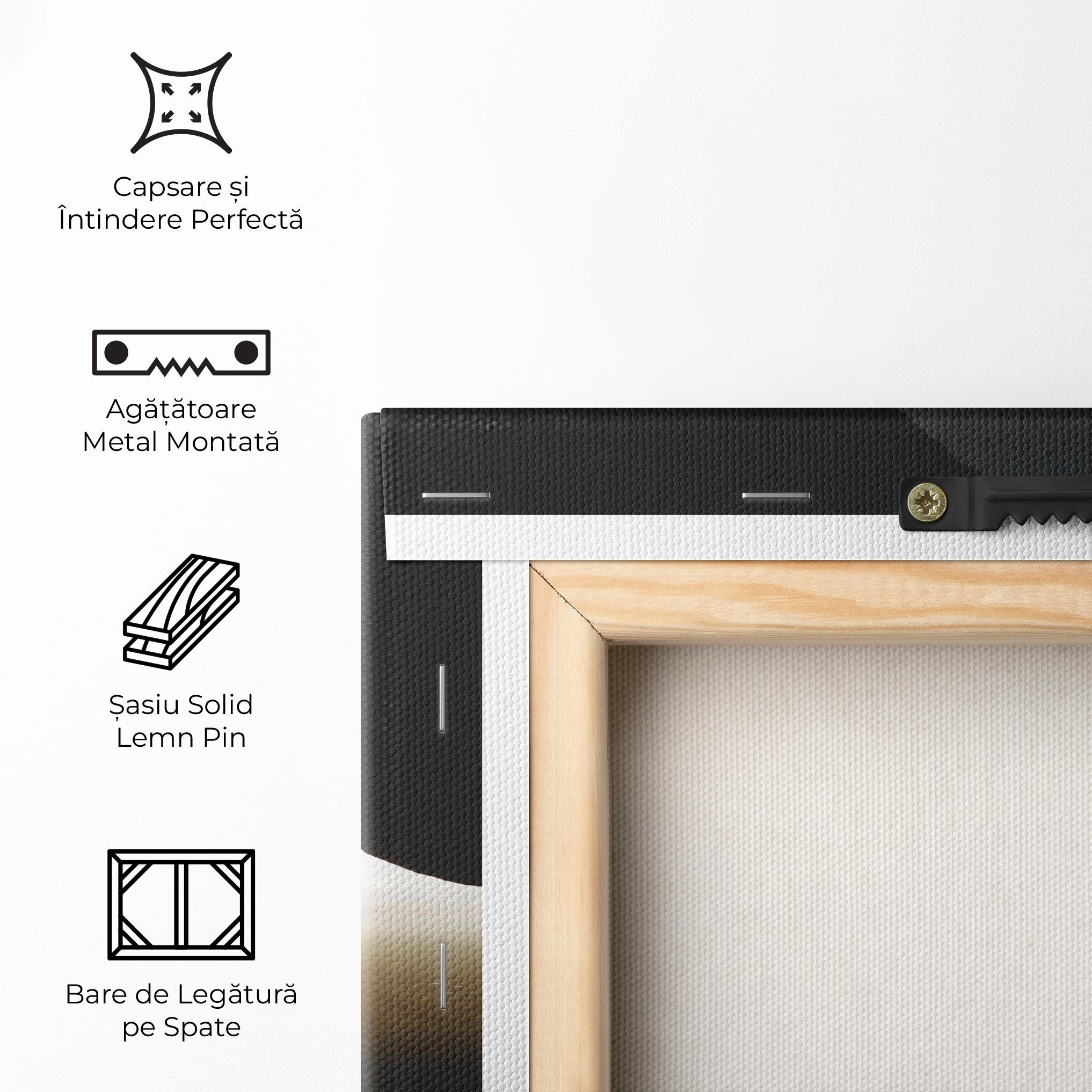 Tablou Canvas Harmony Hues mockup 5