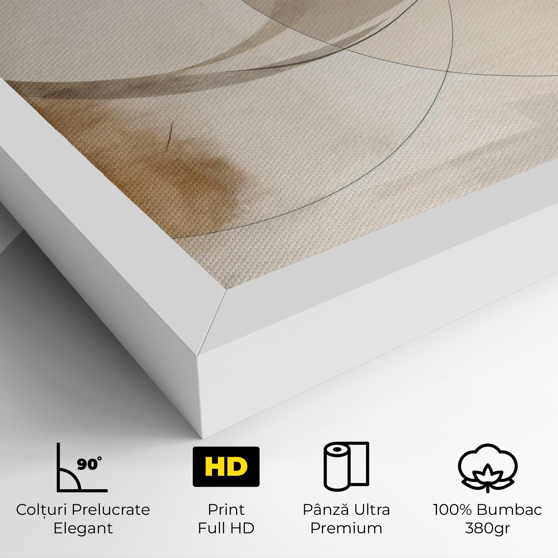 Tablou Canvas Abstract Circle Painting mockup 4