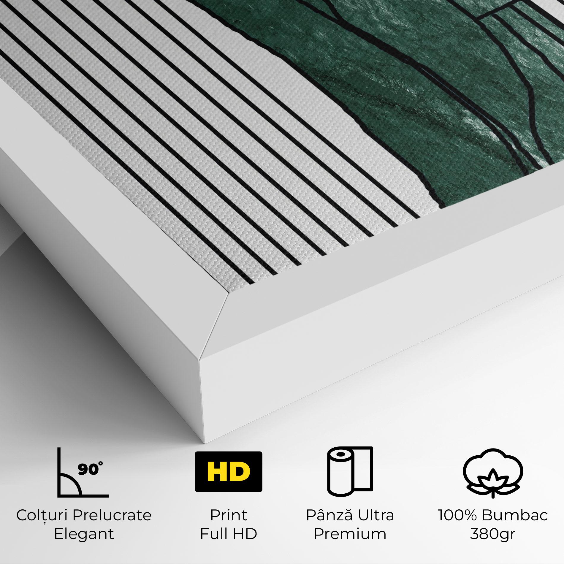 Tablou Canvas Abstract Green Face mockup 4