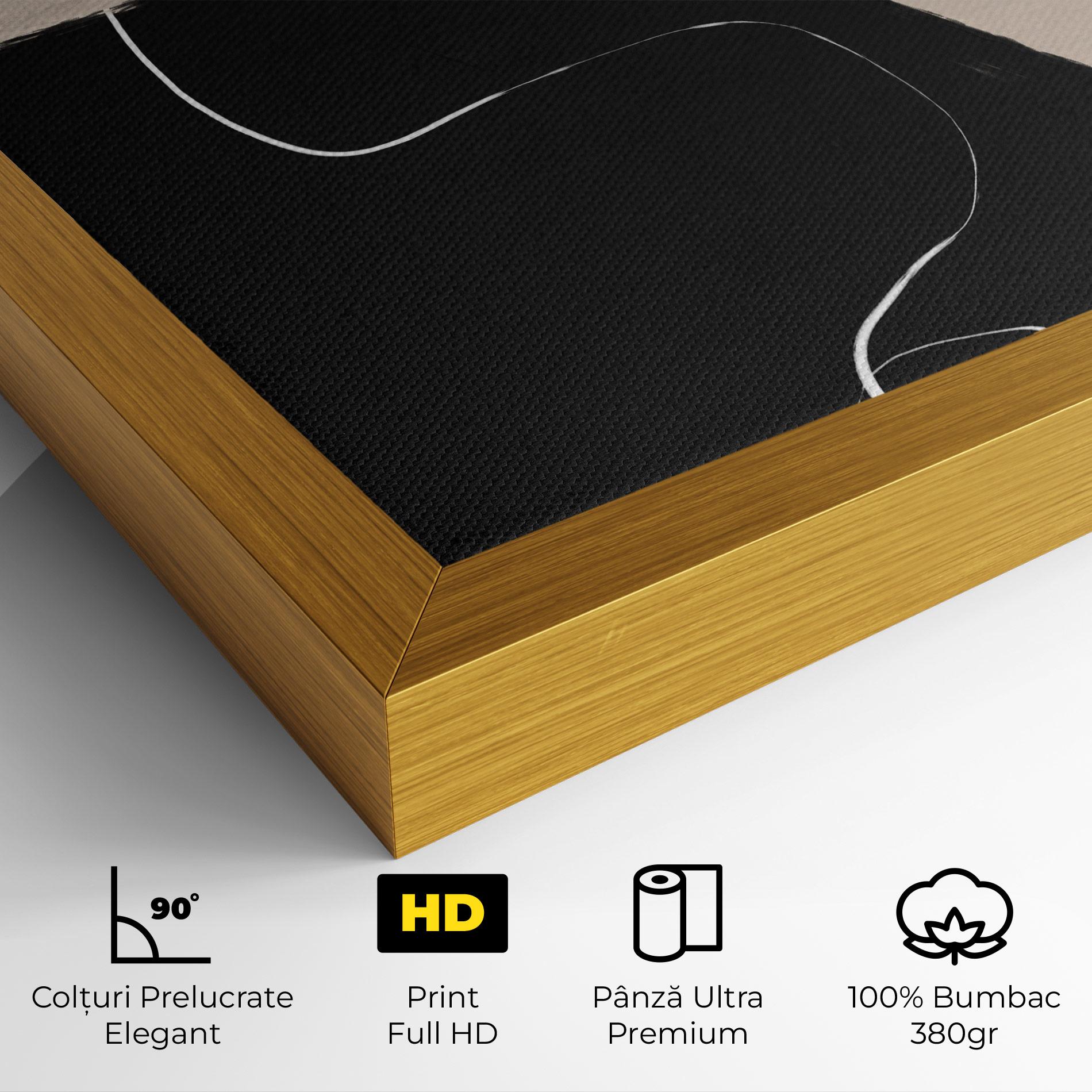 Tablou Canvas Black Brushstrokes mockup 4