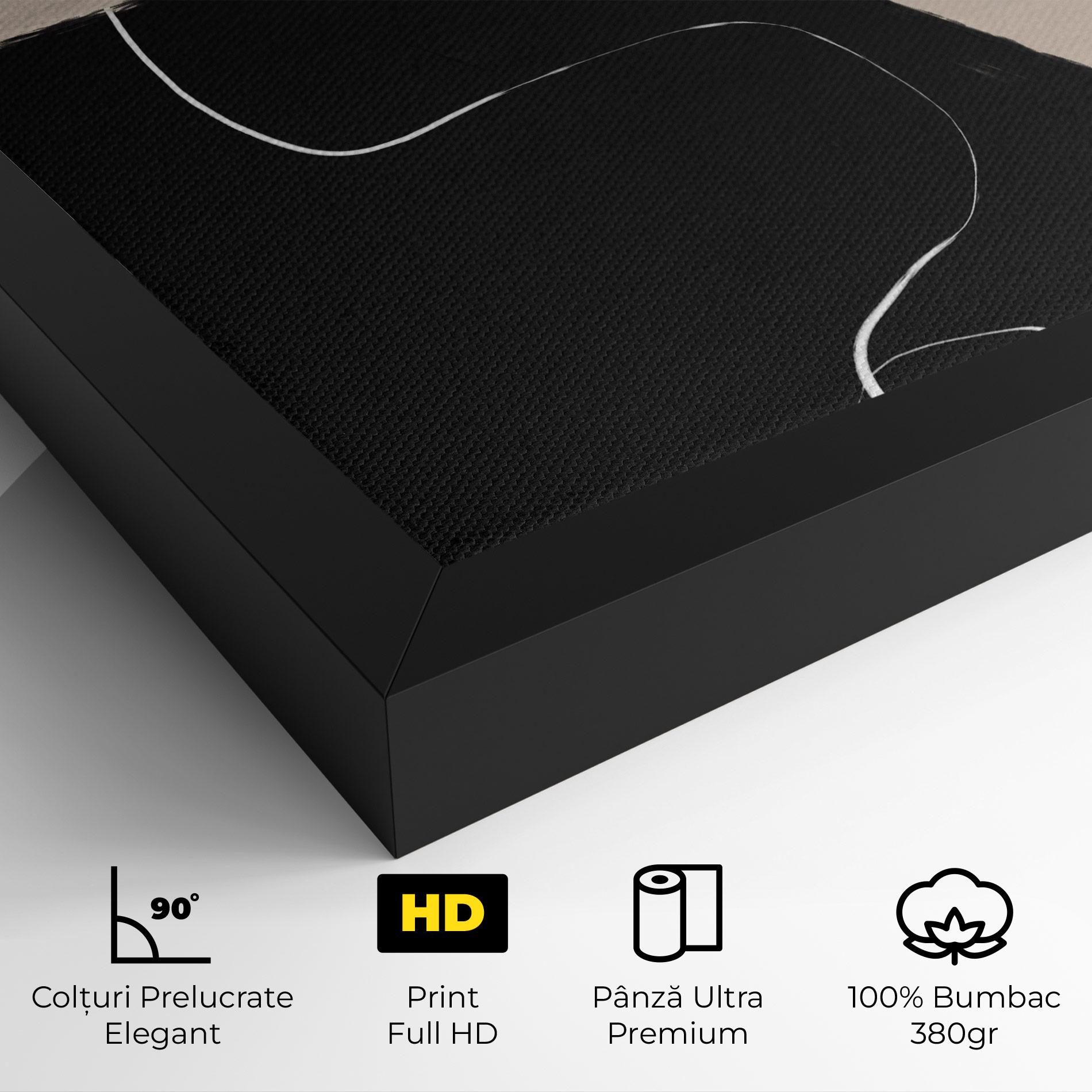 Tablou Canvas Black Brushstrokes mockup 4