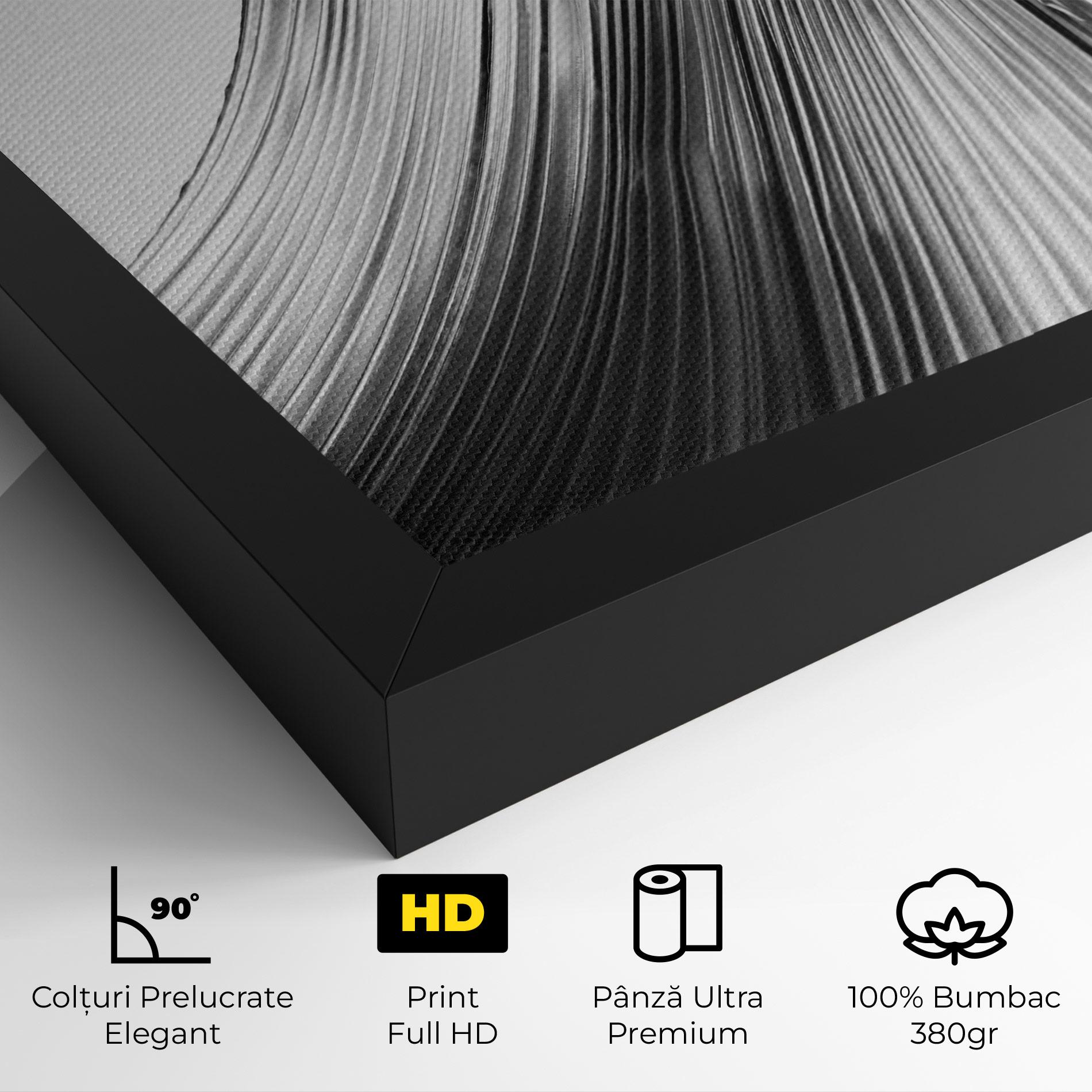 Tablou Canvas Monochrome Wave mockup 4