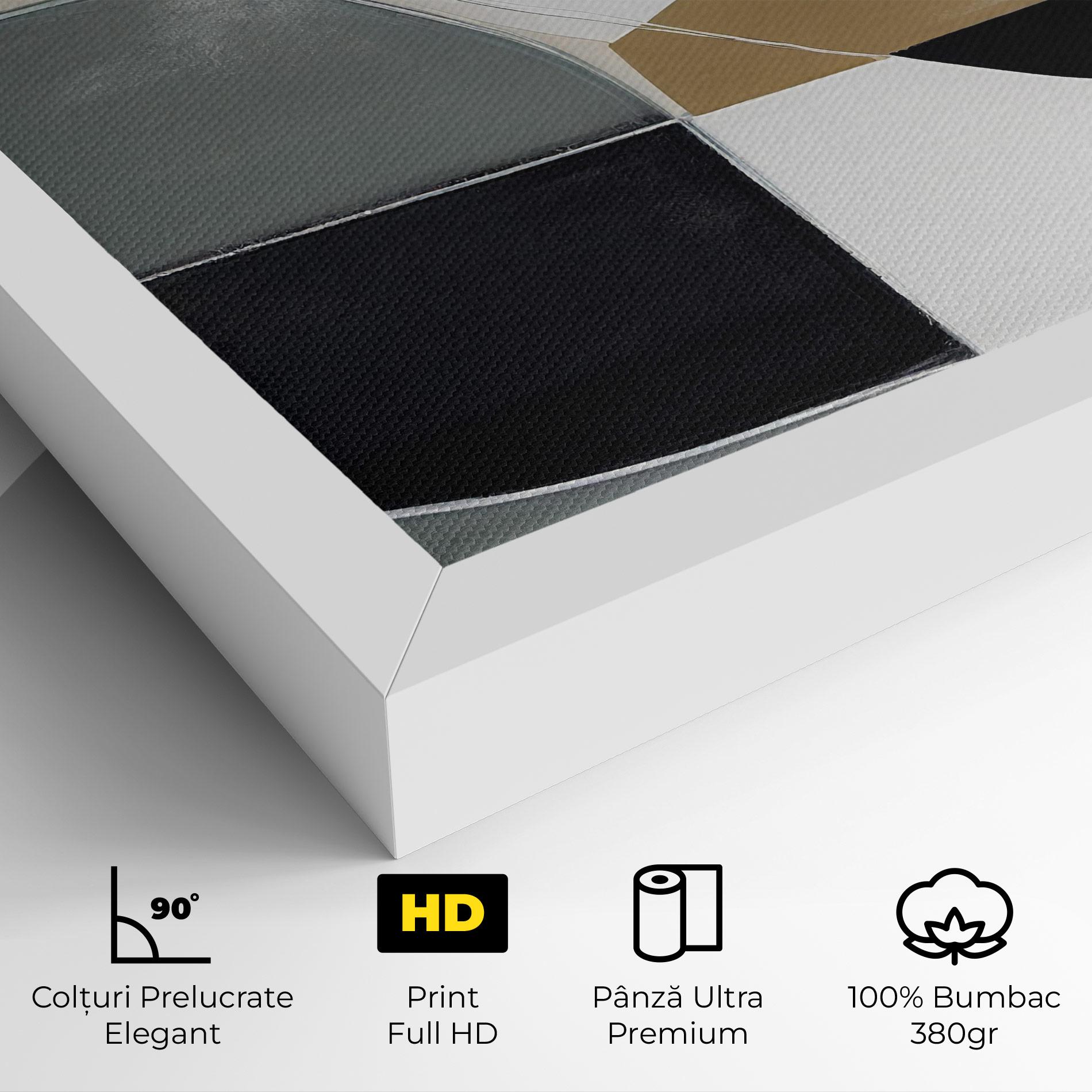 Tablou Canvas Black Grey Shape mockup 4