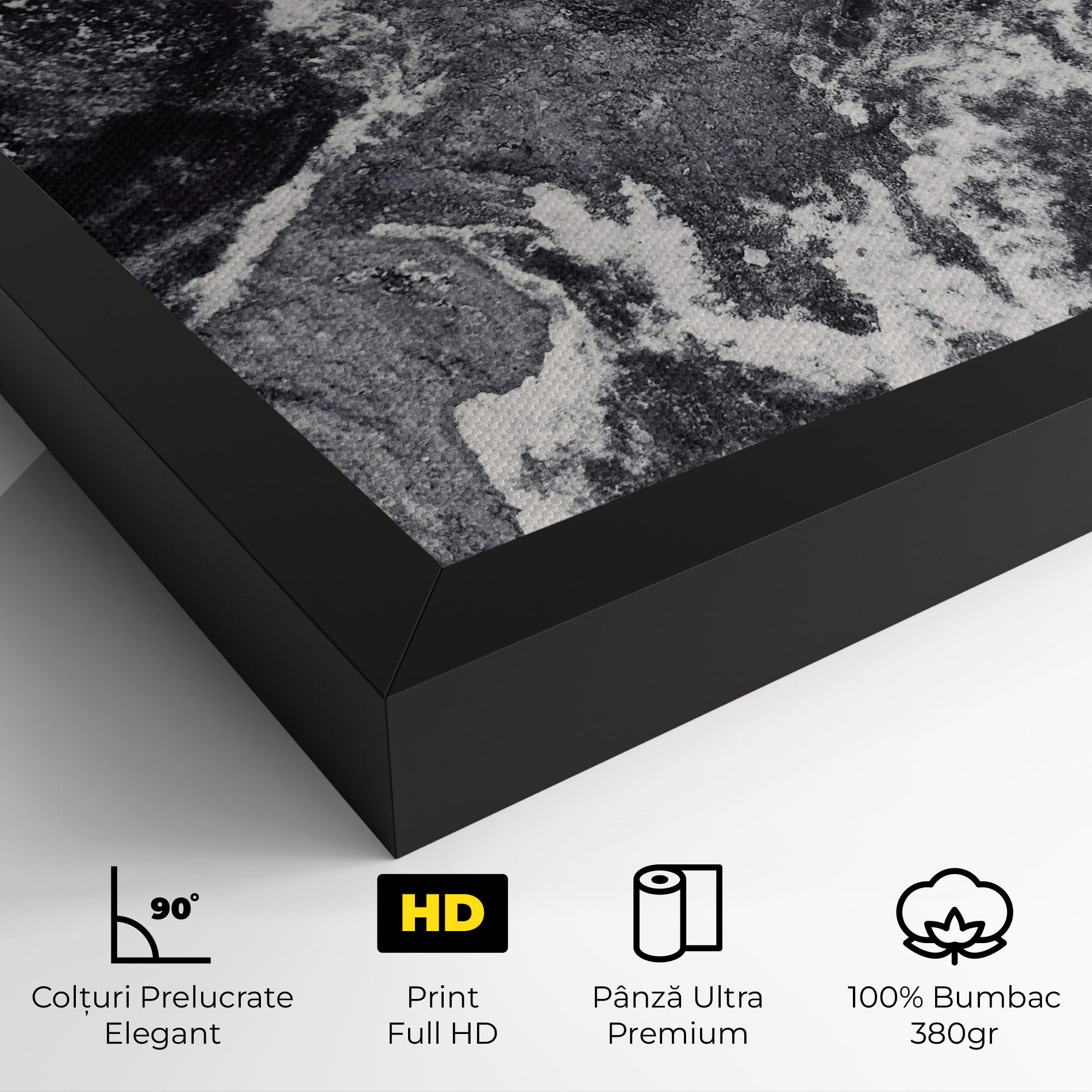 Tablou Canvas Black And White Abstract mockup 4
