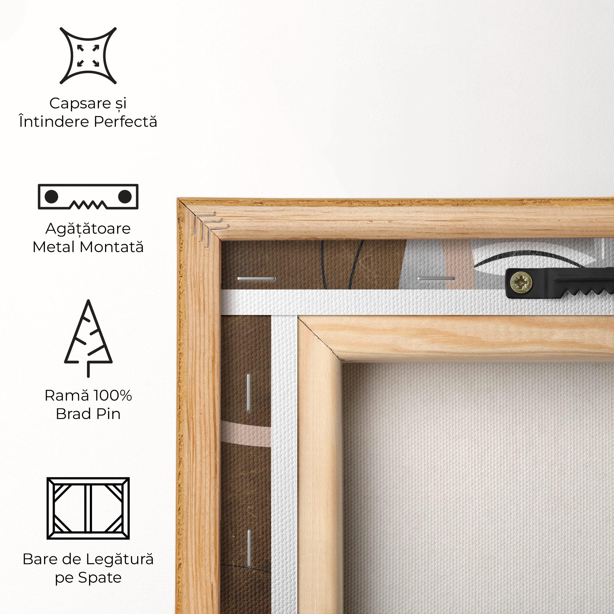 Tablou Canvas Abstract Brown Face mockup 5