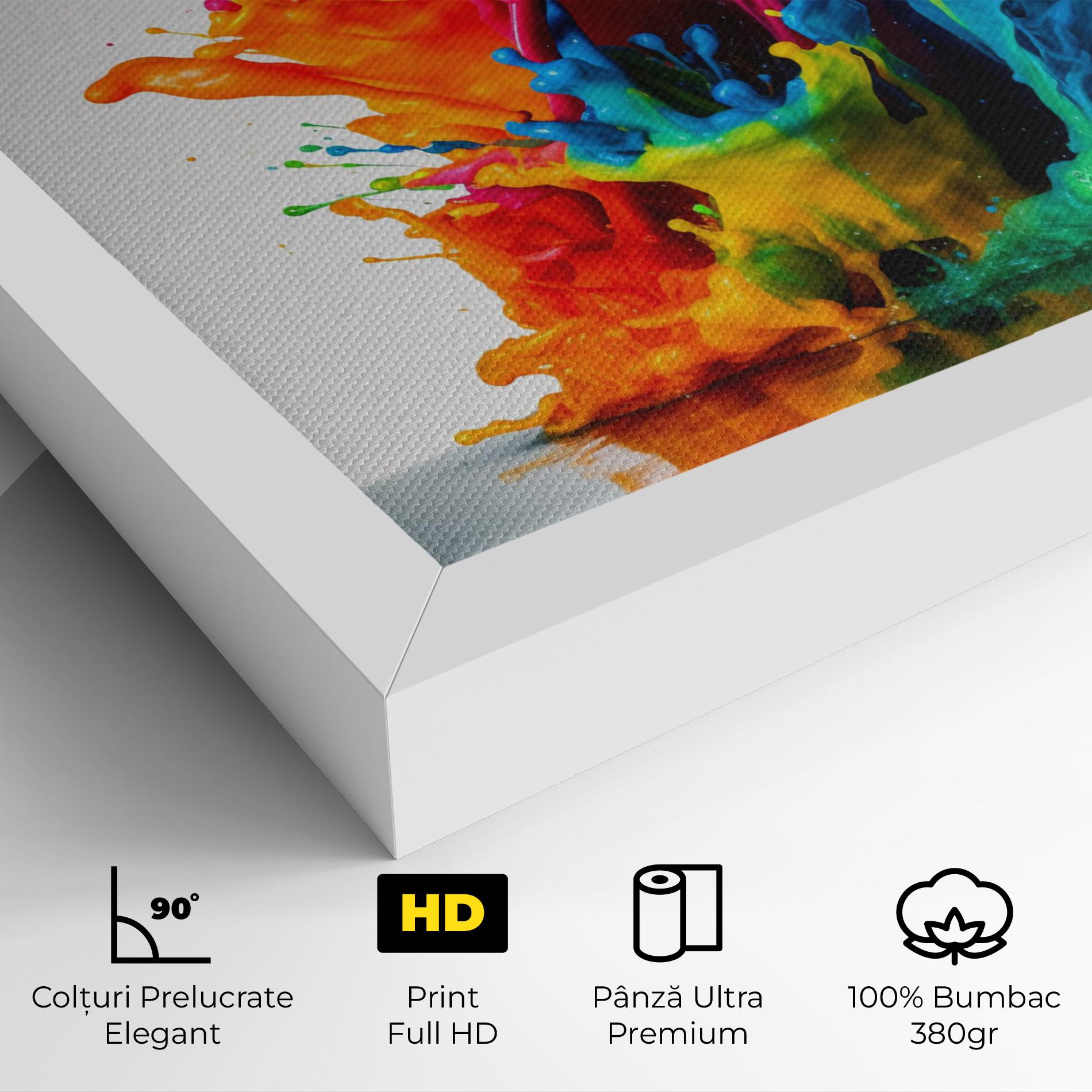 Tablou Canvas Colorful Explosion Paint mockup 4