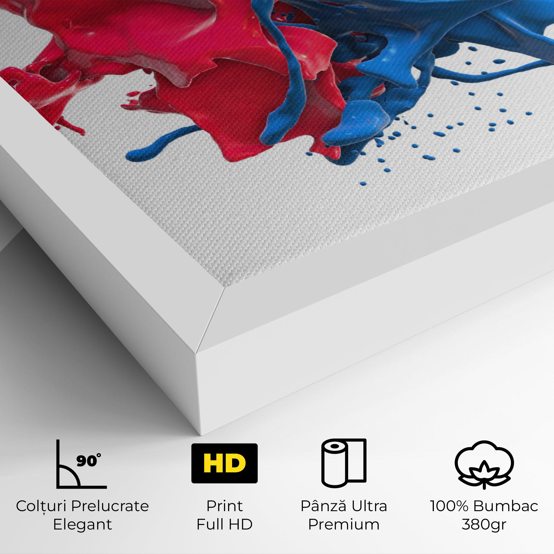 Tablou Canvas Pink And Blue Splash mockup 4