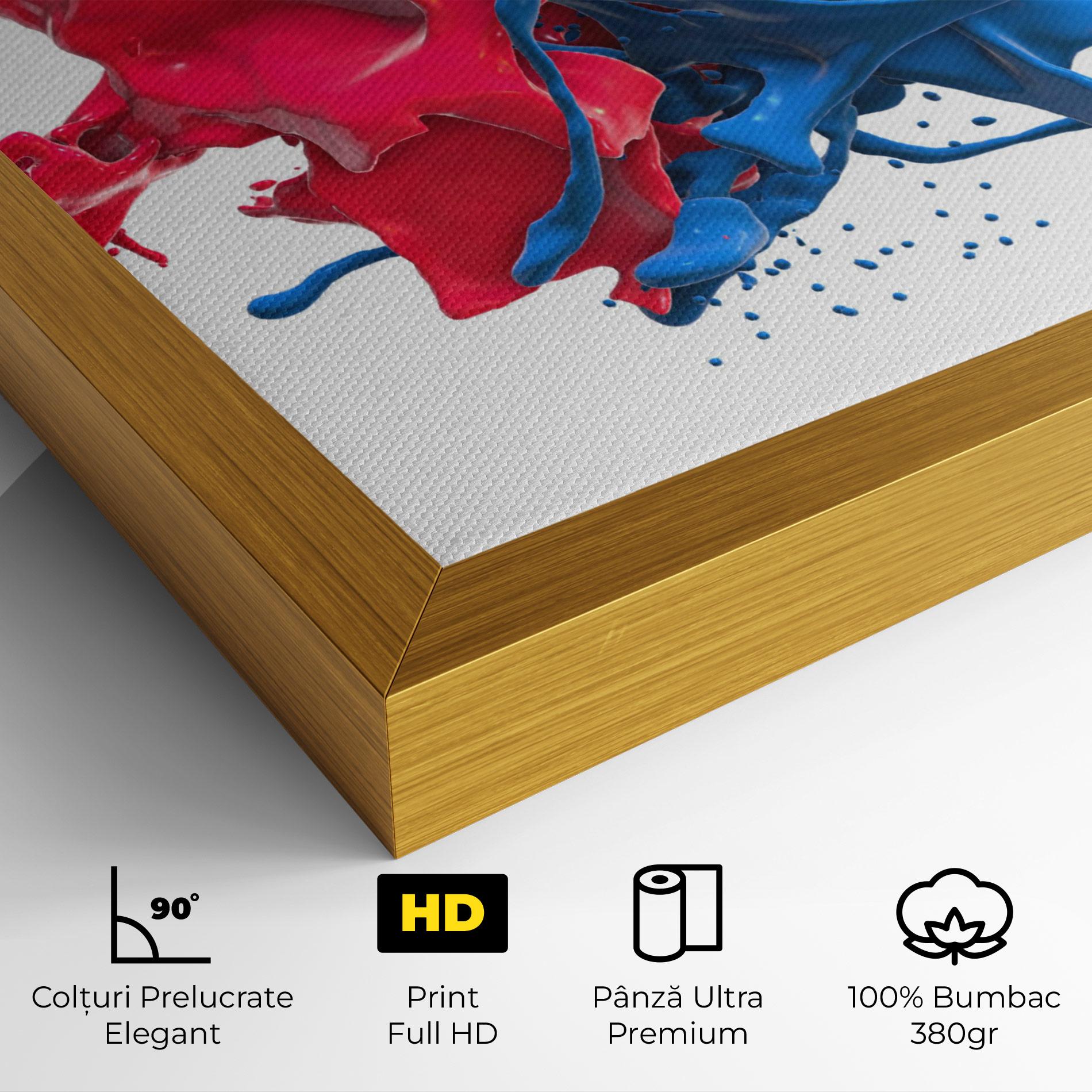 Tablou Canvas Pink And Blue Splash mockup 4