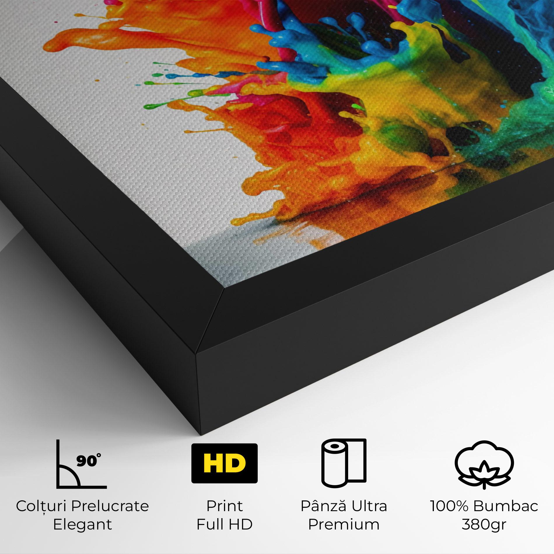 Tablou Canvas Colorful Explosion Paint mockup 4