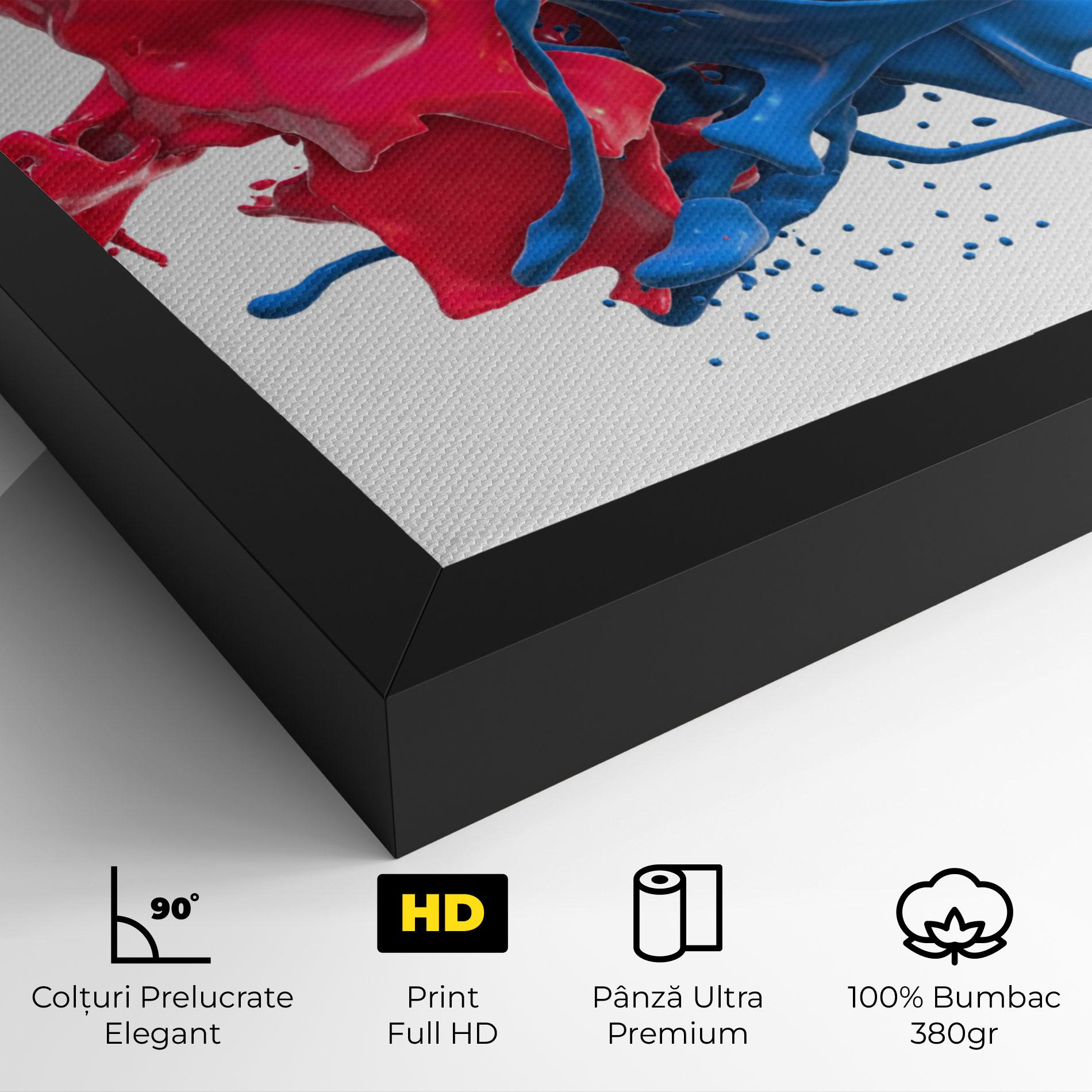 Tablou Canvas Pink And Blue Splash mockup 4