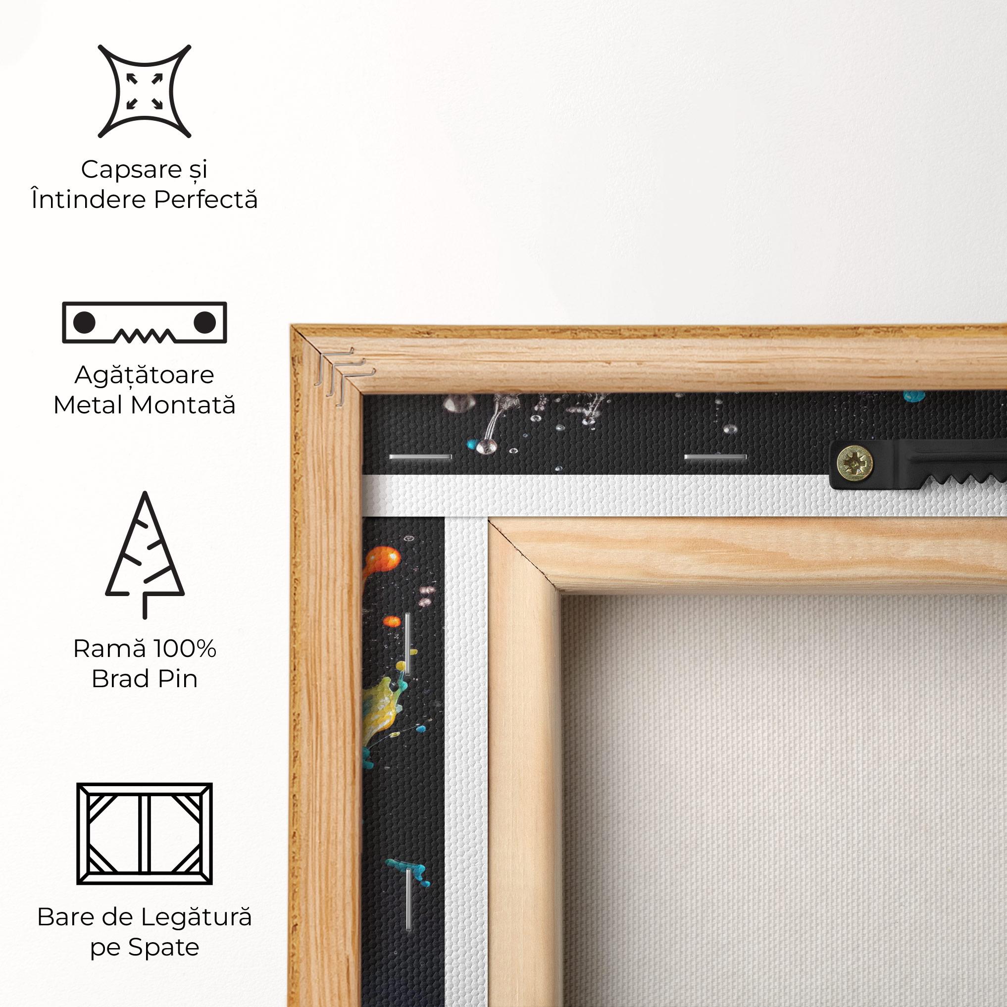 Tablou Canvas Colorful Splash Floating mockup 5