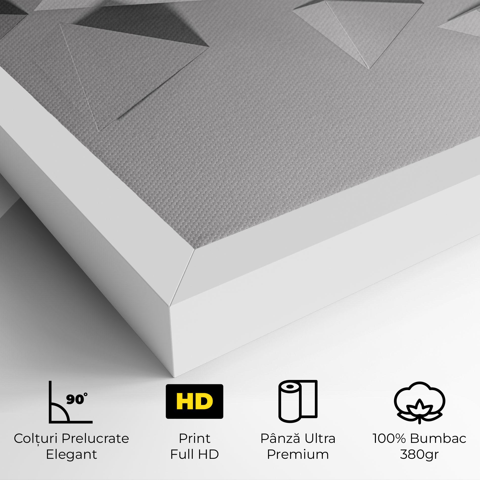 Tablou Canvas 3d White Triangle mockup 4