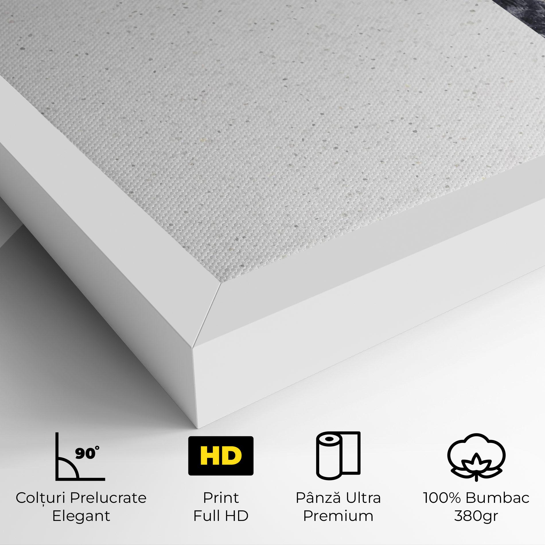 Tablou Canvas Big Hexagon mockup 4