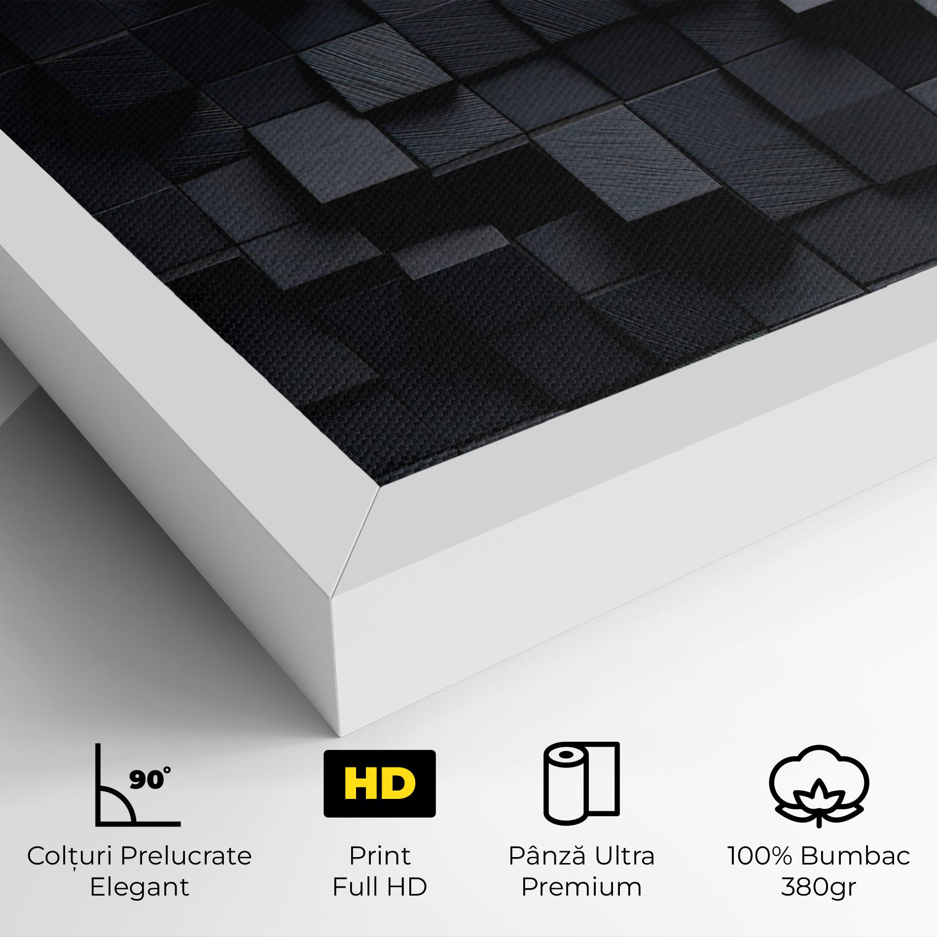 Tablou Canvas Black Square Pattern mockup 4