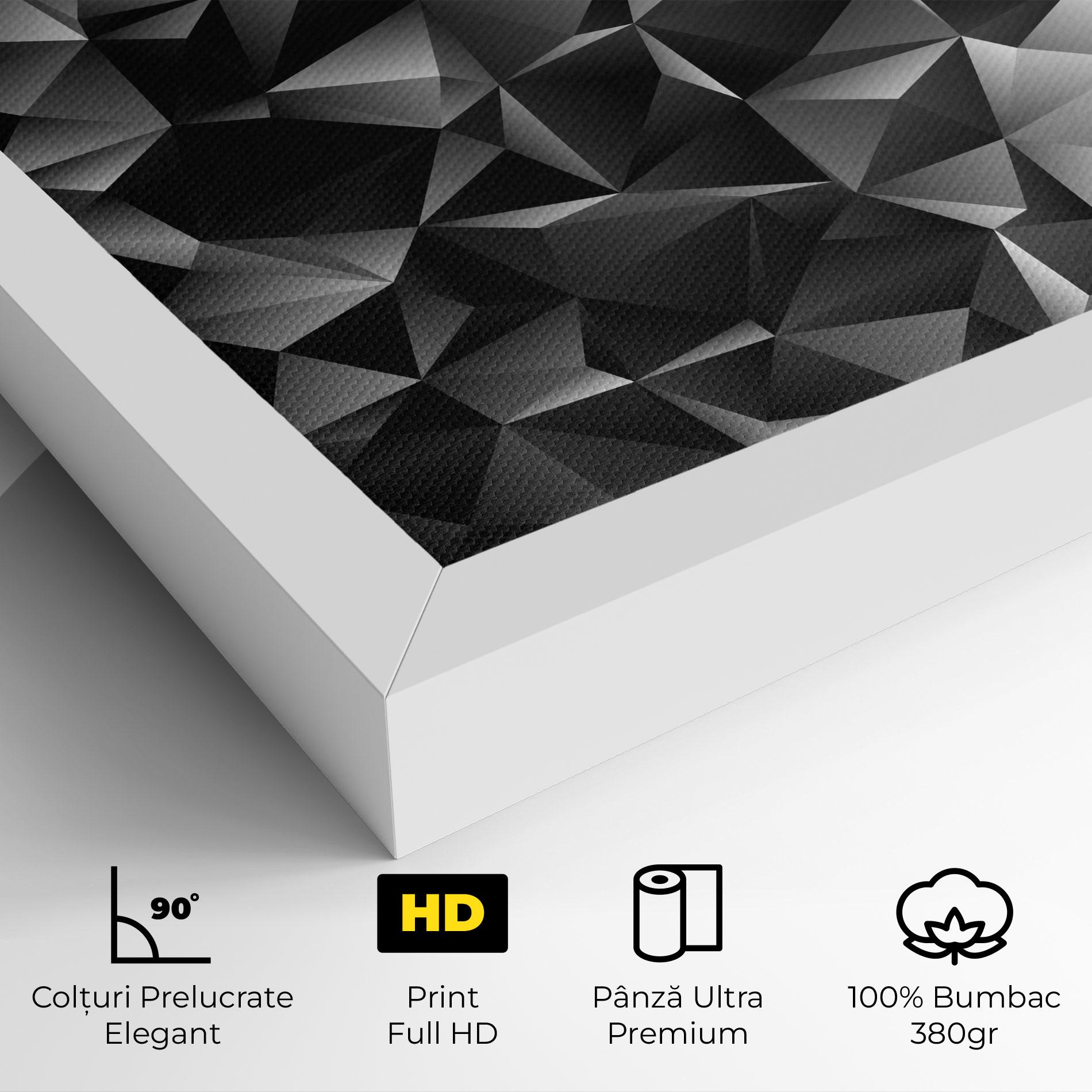 Tablou Canvas Black Triangle Pattern mockup 4