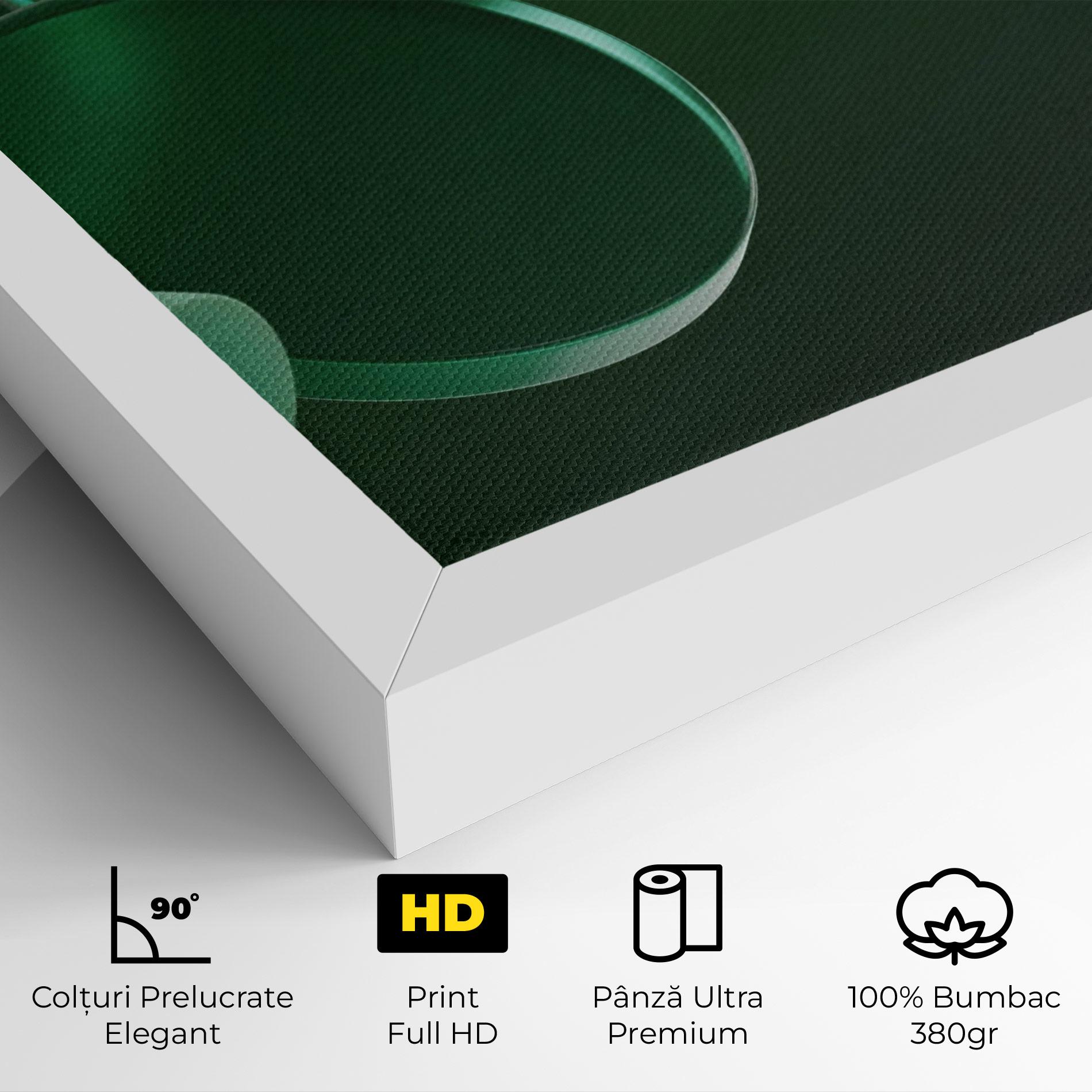 Tablou Canvas Green Circle Floating mockup 4