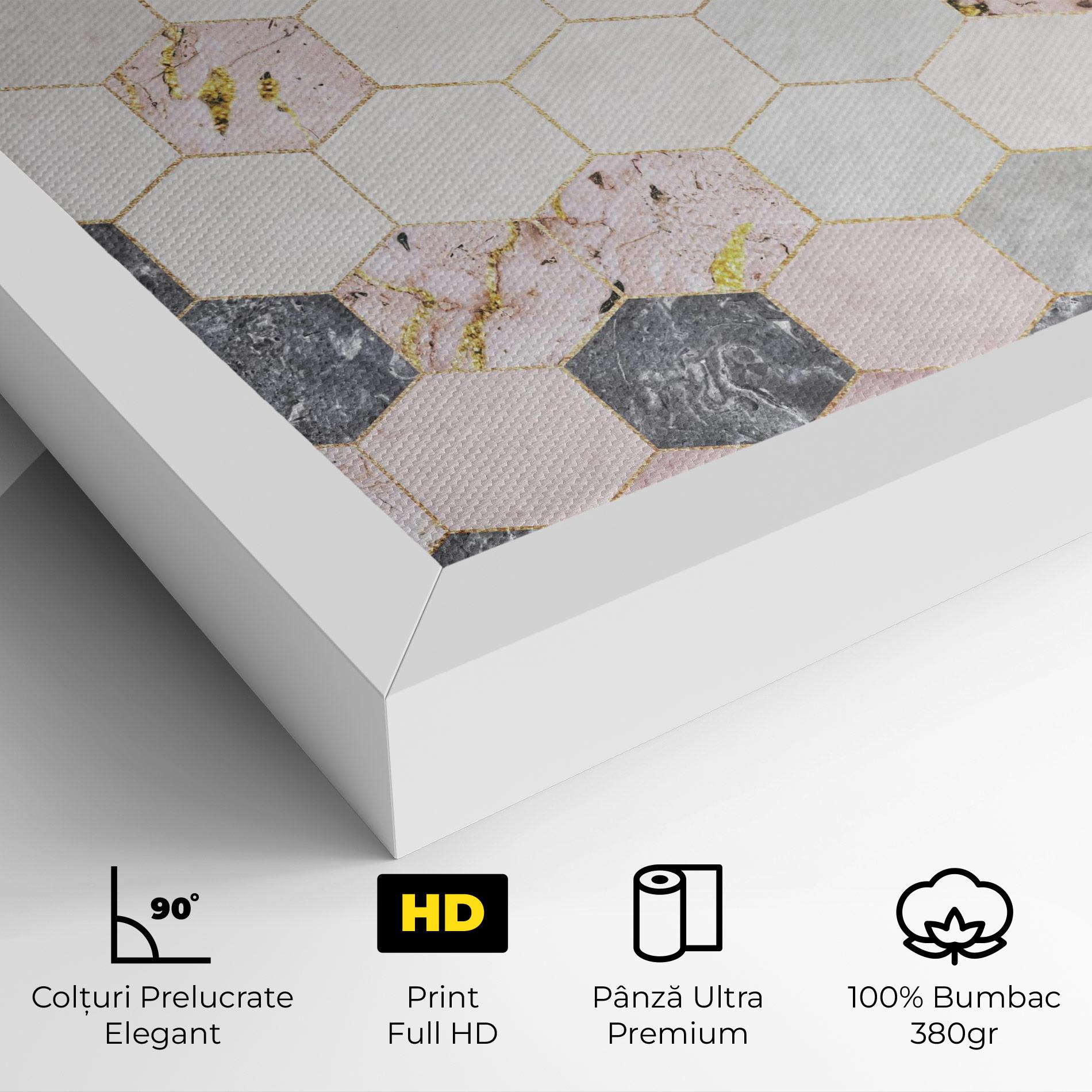 Tablou Canvas Grey Pink Hexagon mockup 4