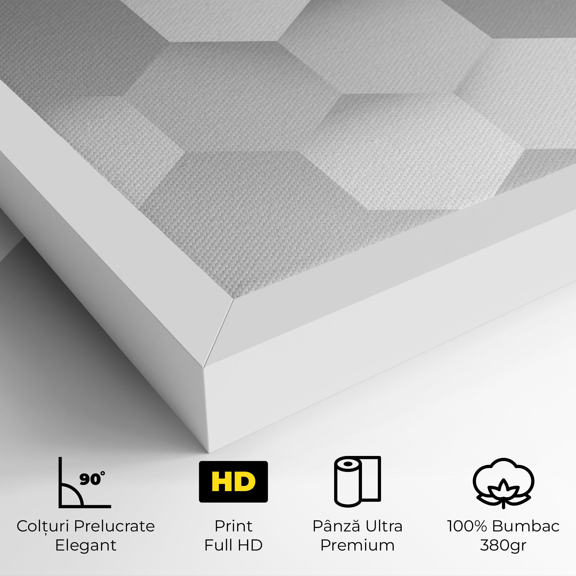 Tablou Canvas Grey White Triangle mockup 4