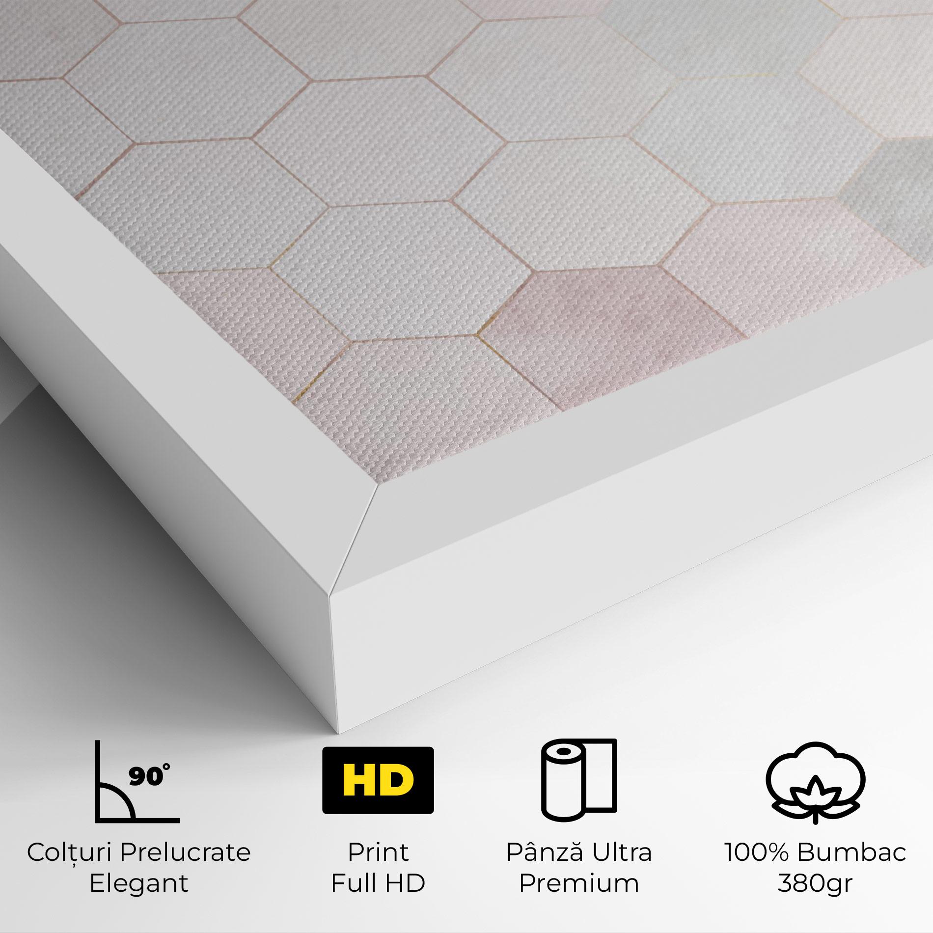 Tablou Canvas Hexagon Pink mockup 4
