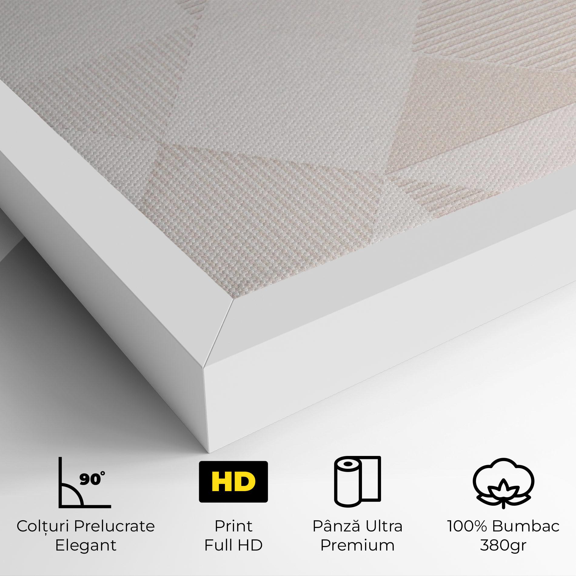 Tablou Canvas Light Cream Rhombus mockup 4