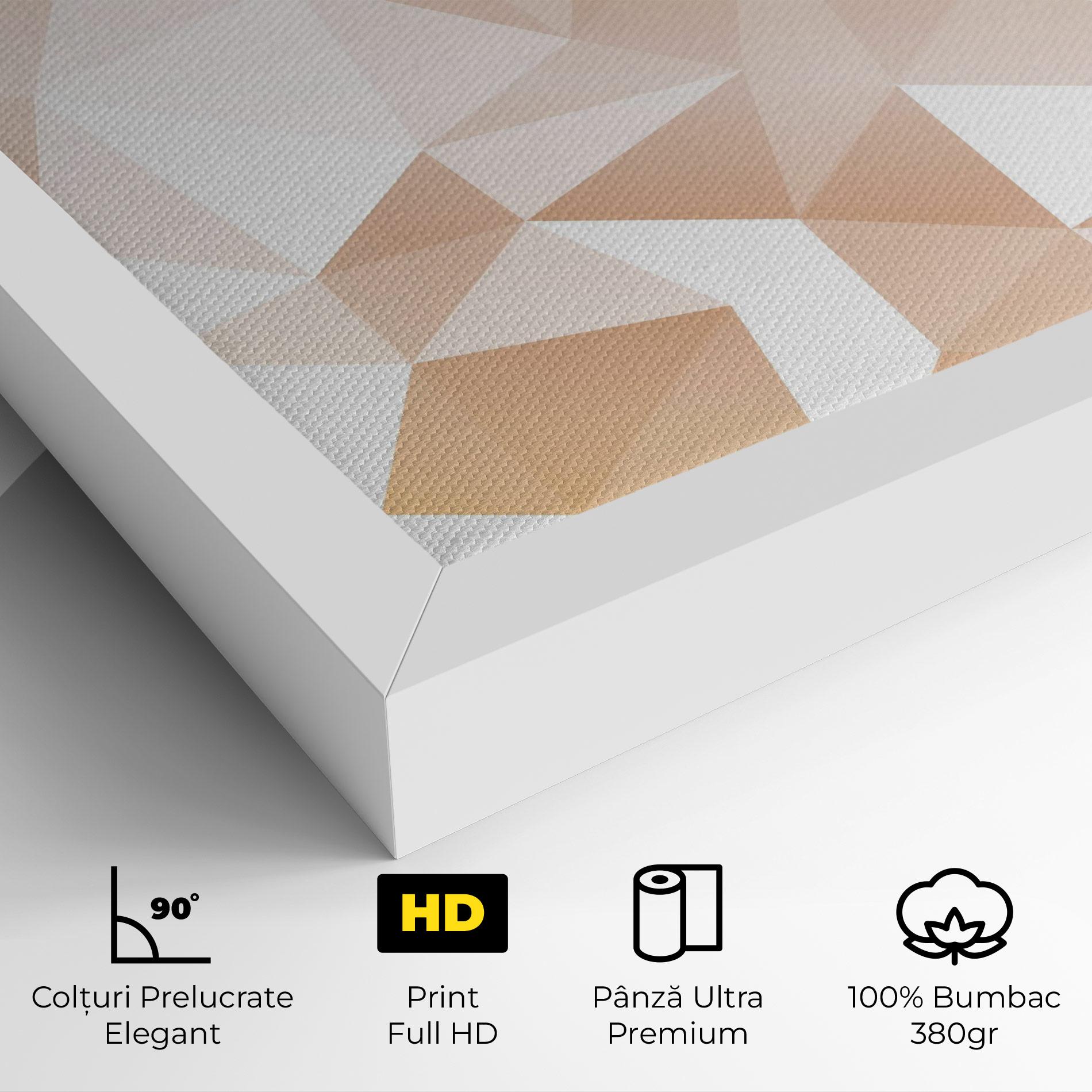 Tablou Canvas Light Pink Triangle mockup 4