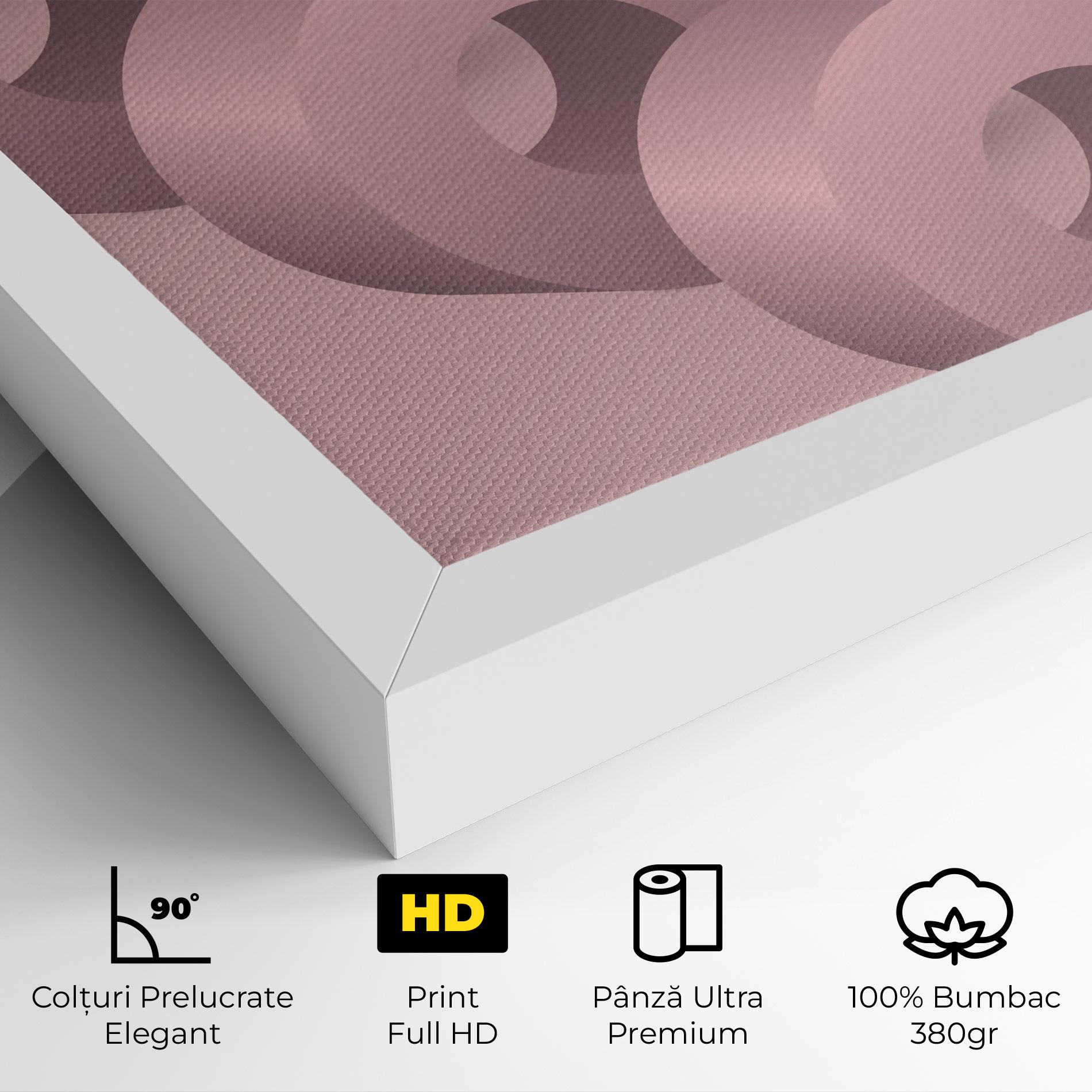 Tablou Canvas Pink Circle mockup 4