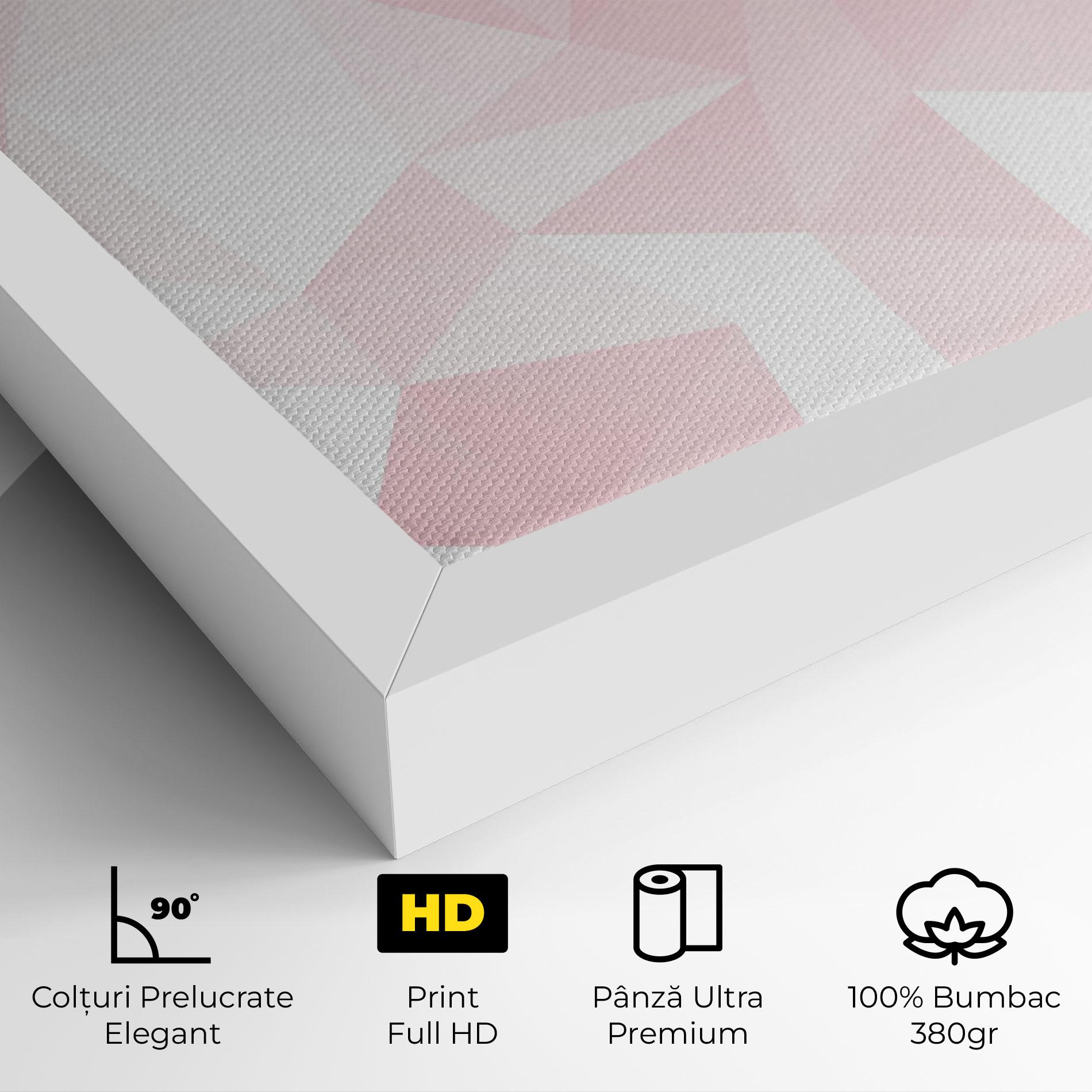 Tablou Canvas Pink Triangle mockup 4