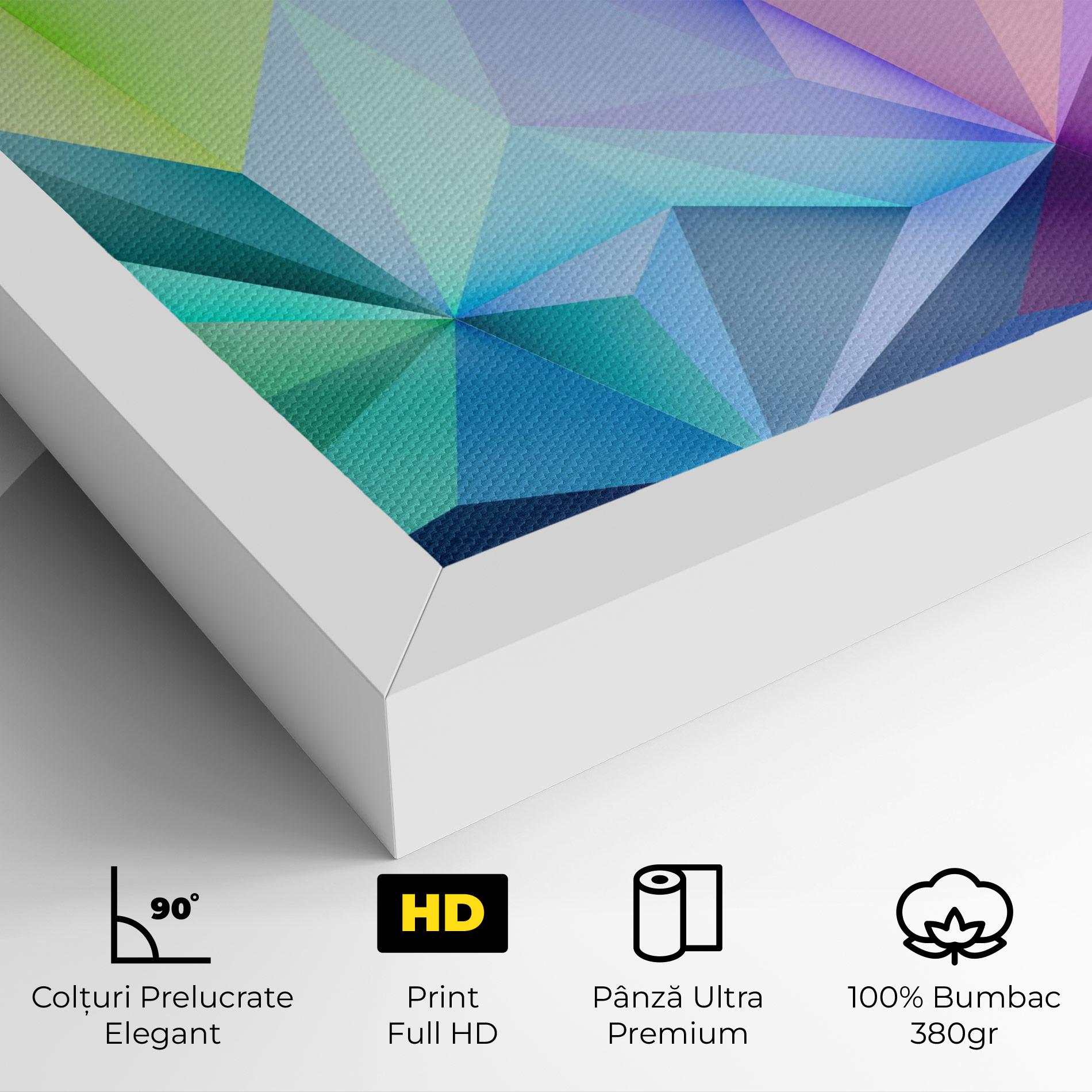 Tablou Canvas Rainbow Triangle Mix mockup 4