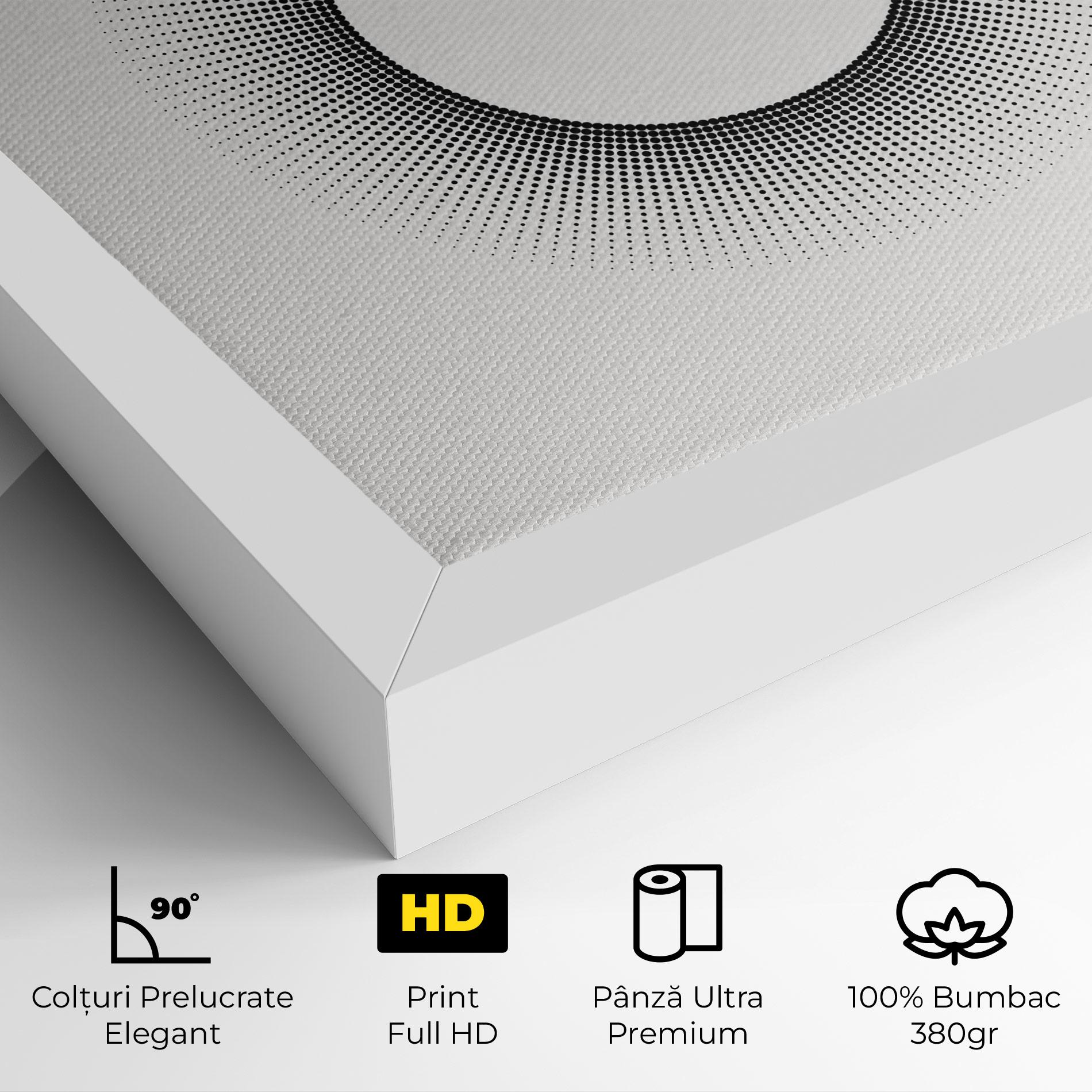 Tablou Canvas White Center mockup 4