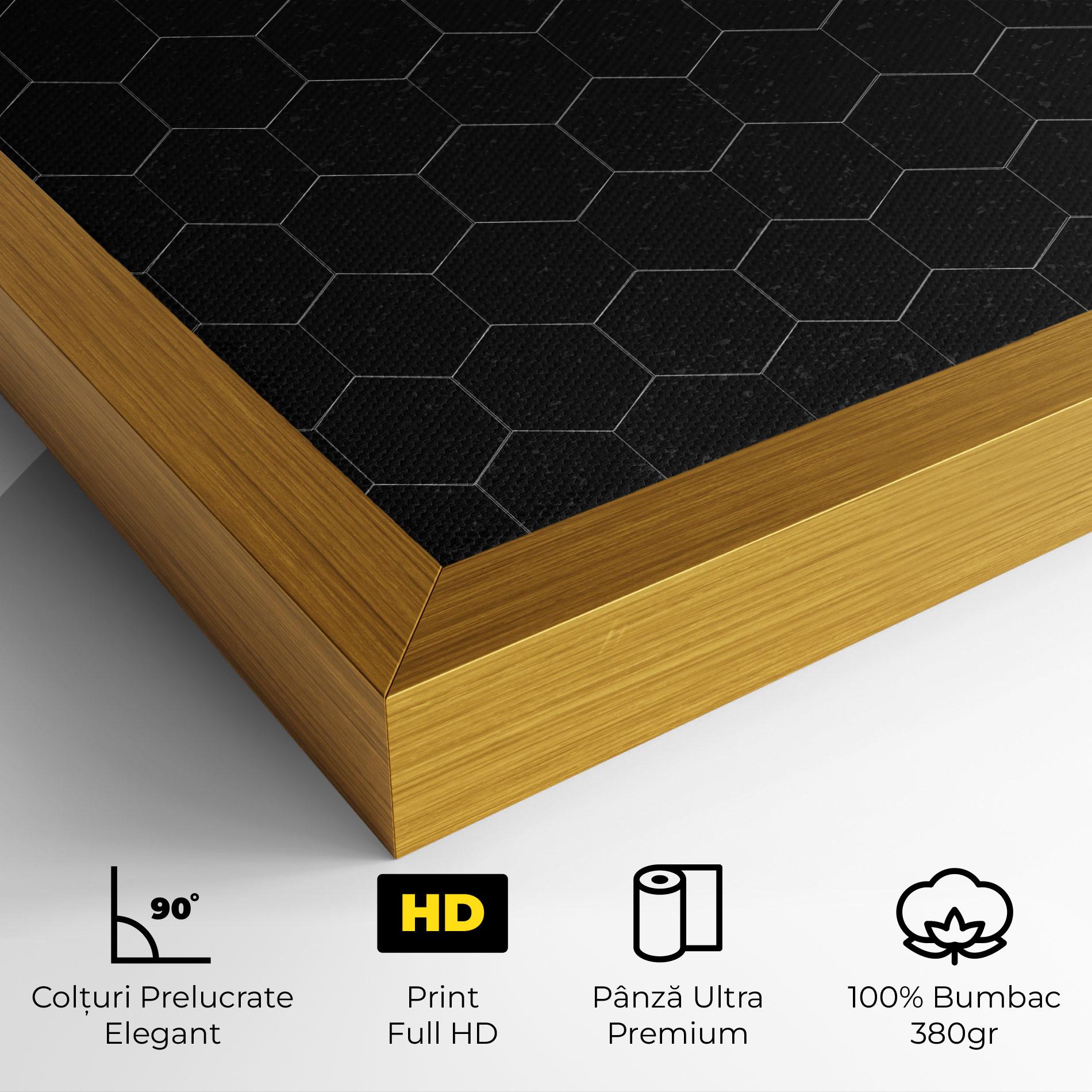 Tablou Canvas Black Hexagon mockup 4