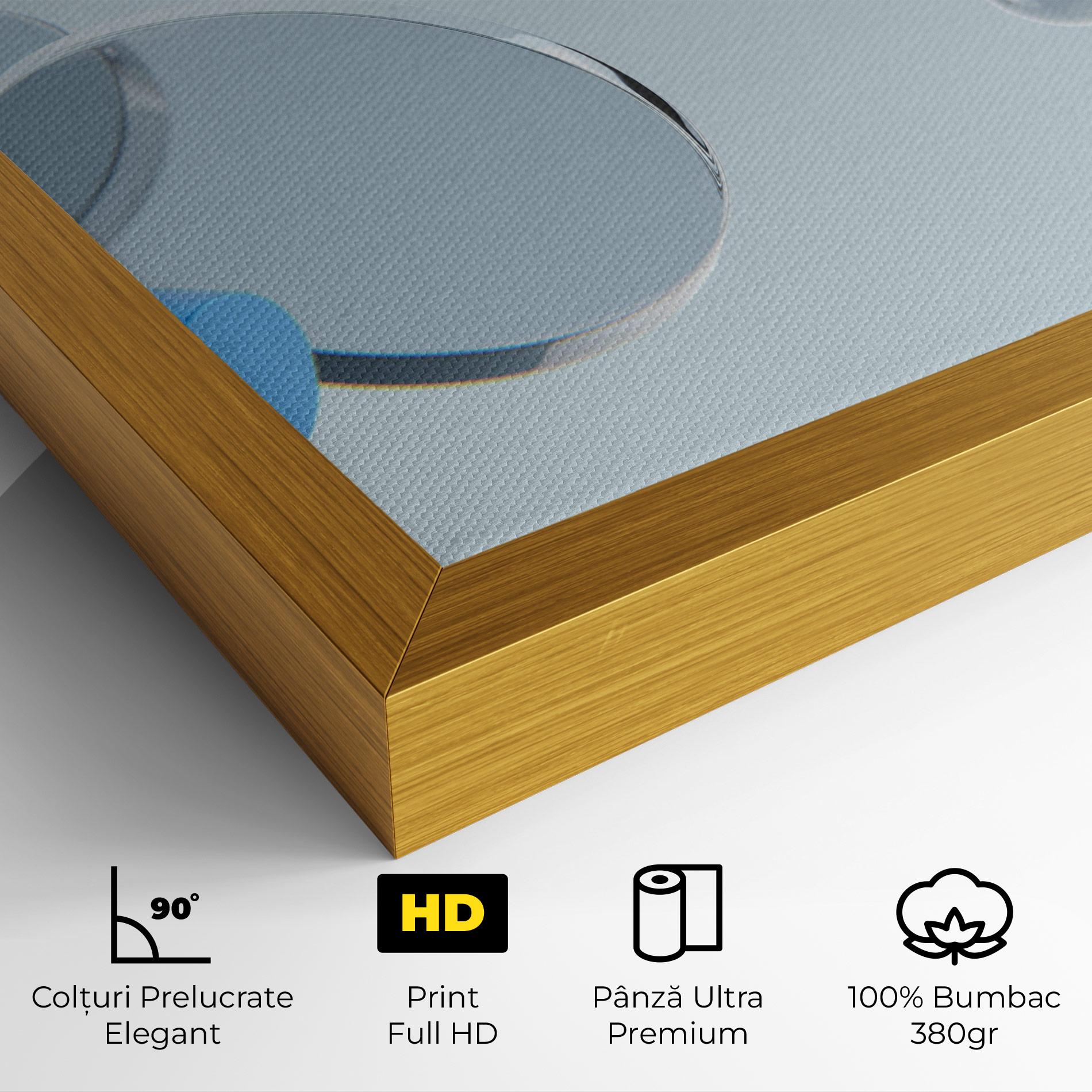 Tablou Canvas Blue Circle Floating mockup 4