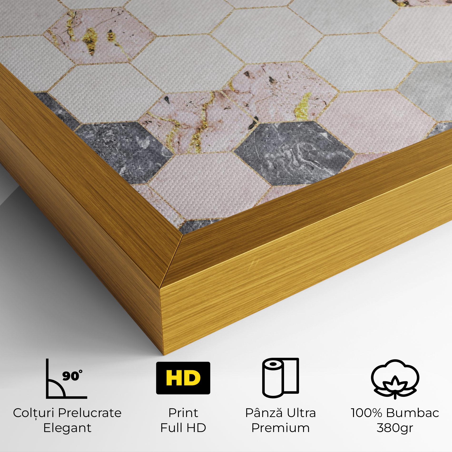 Tablou Canvas Grey Pink Hexagon mockup 4