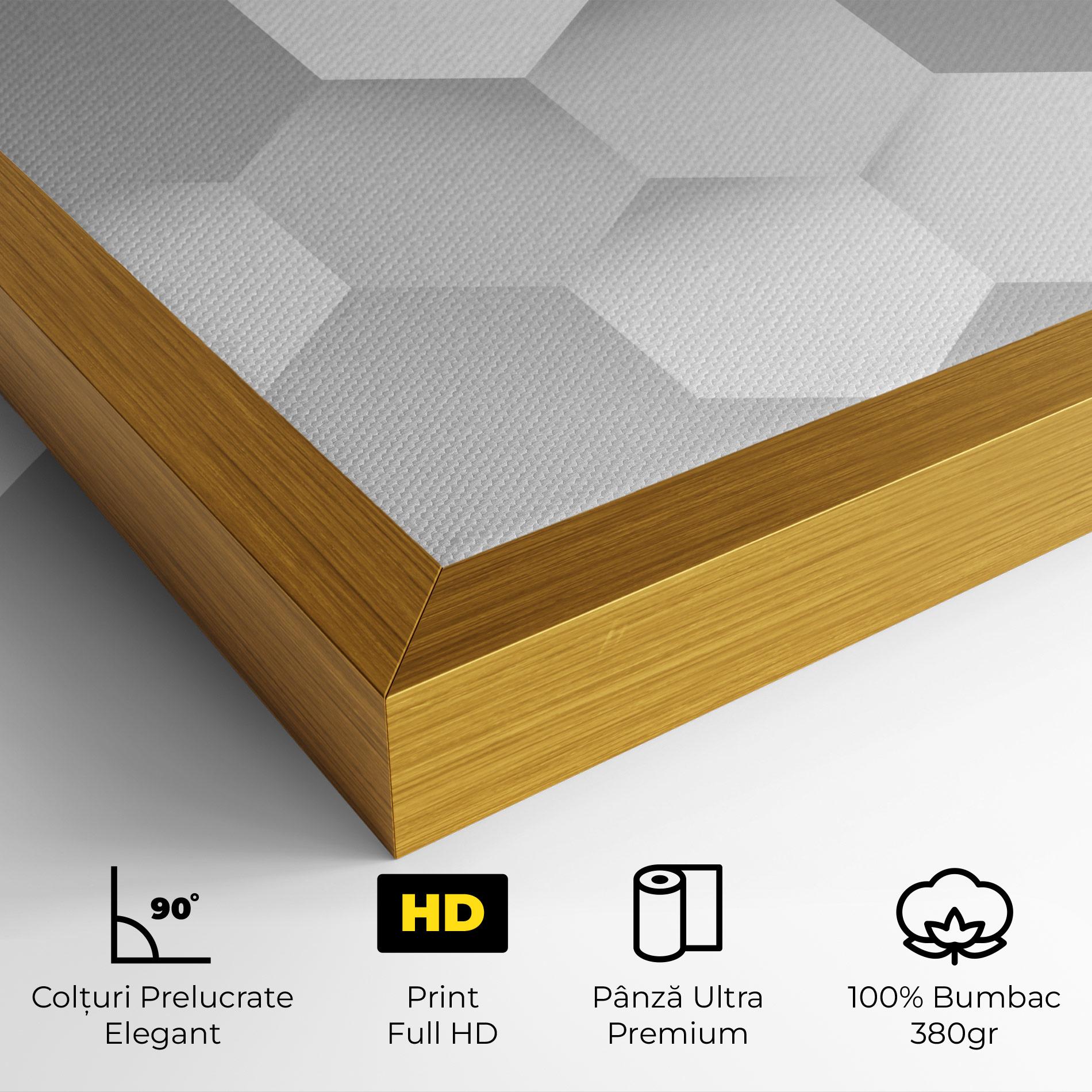 Tablou Canvas Grey White Triangle mockup 4