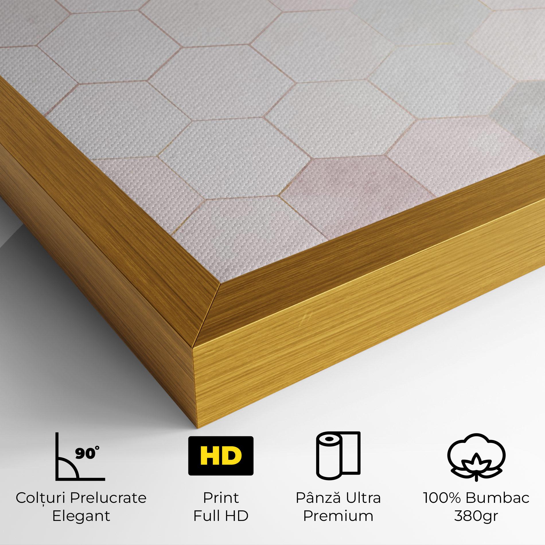 Tablou Canvas Hexagon Pink mockup 4