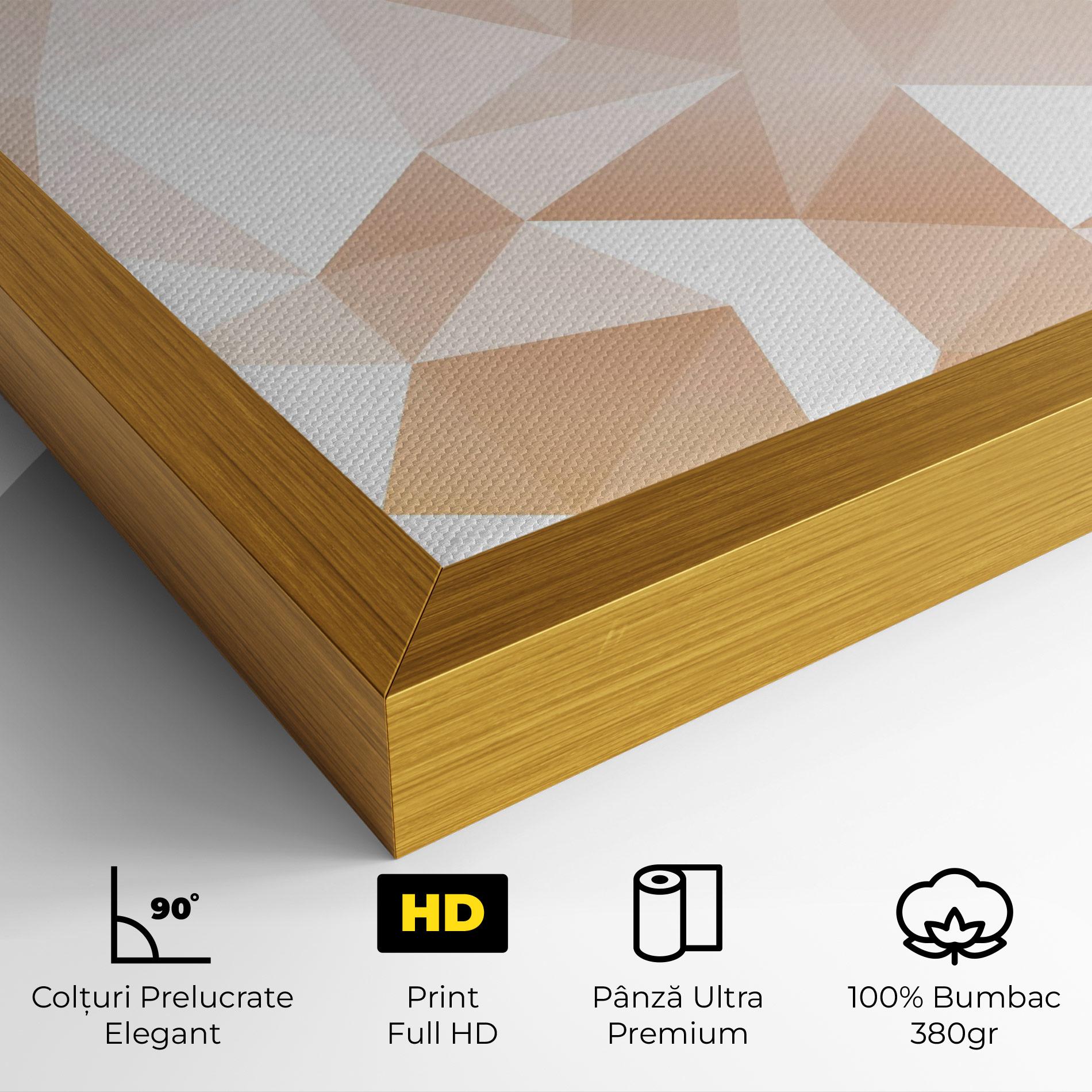 Tablou Canvas Light Pink Triangle mockup 4