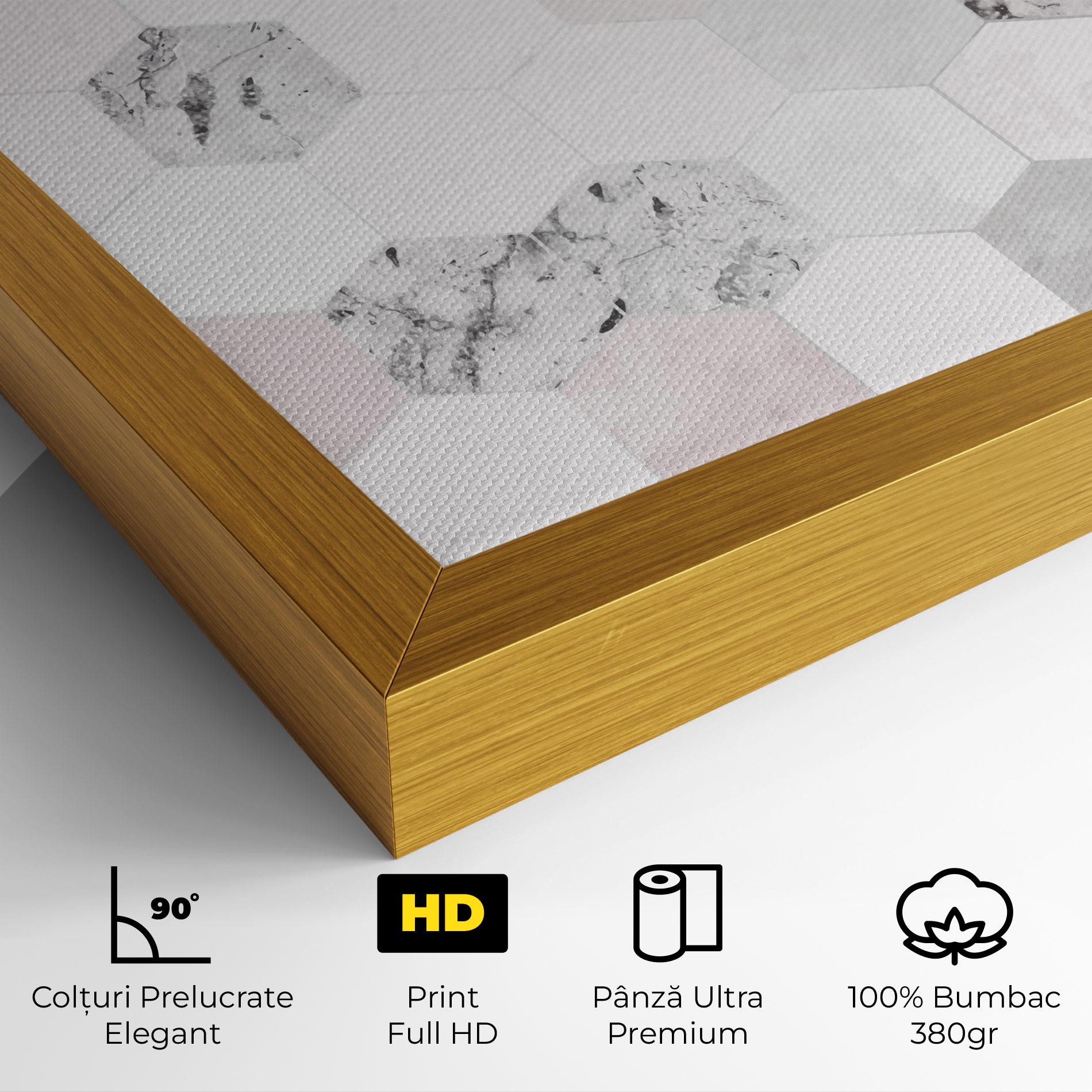 Tablou Canvas Pink Hexa Pattern mockup 4