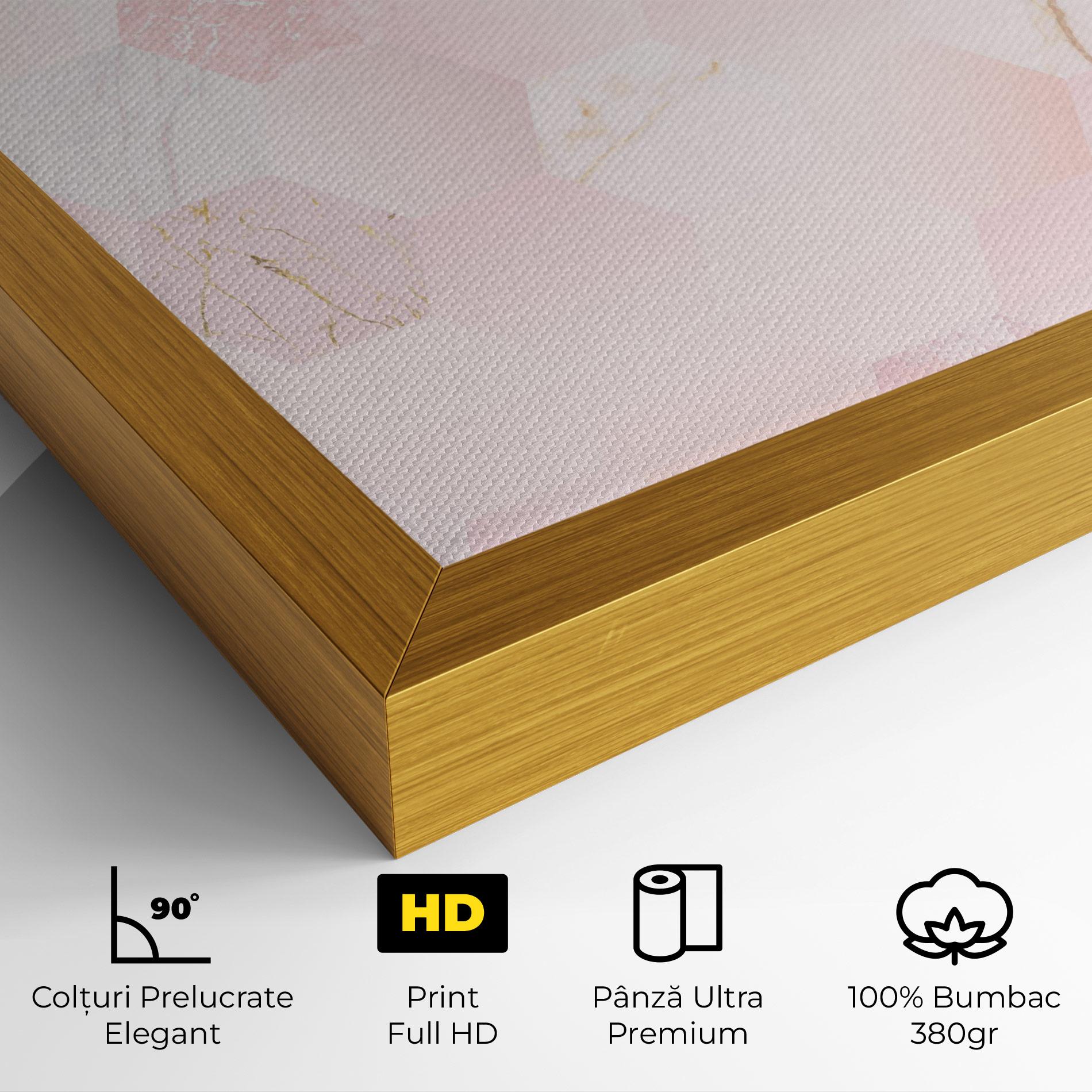 Tablou Canvas Pink Hexanon mockup 4
