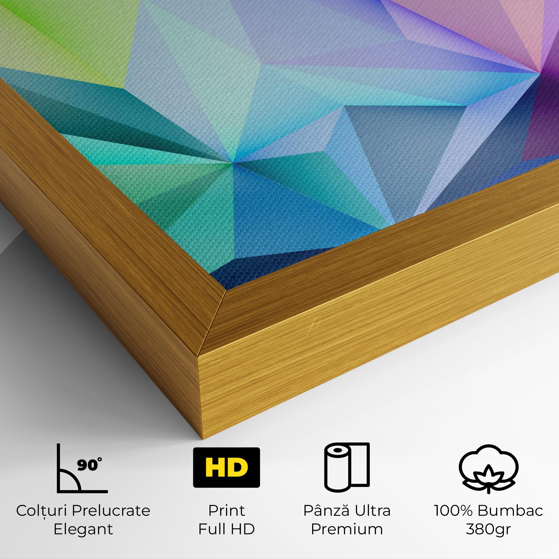 Tablou Canvas Rainbow Triangle Mix mockup 4
