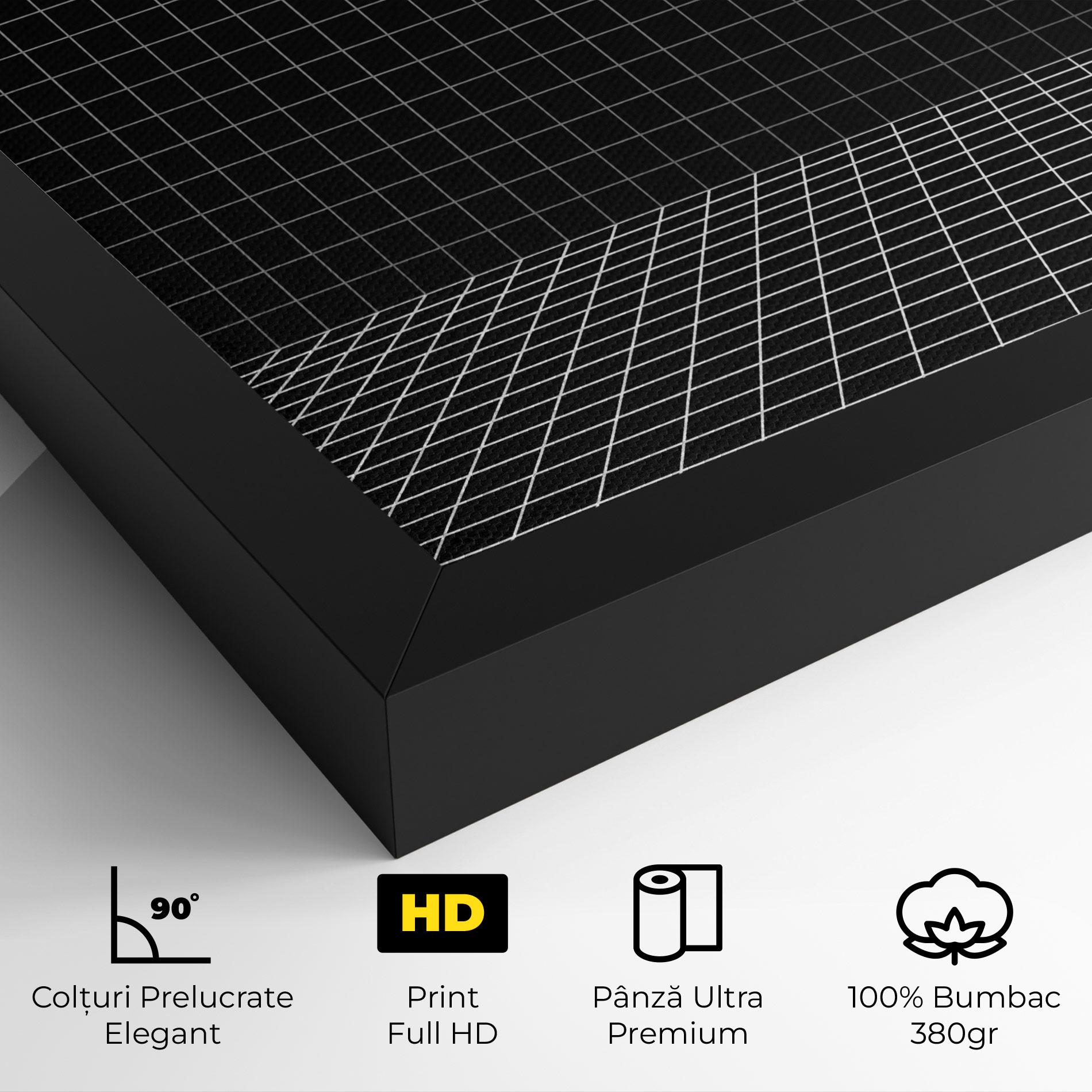 Tablou Canvas 3d Lines mockup 4